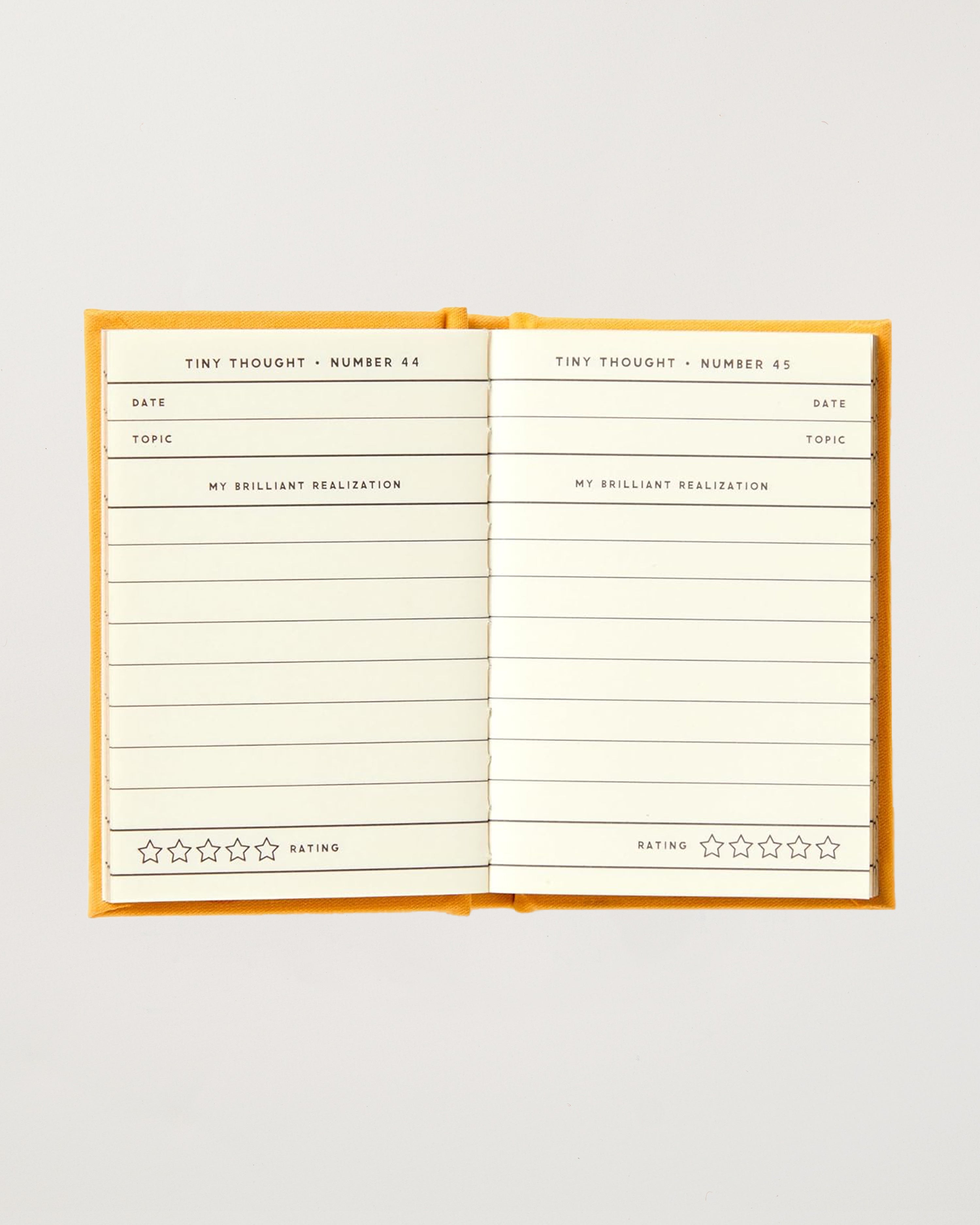 A Tiny Diary for Tiny Thoughts