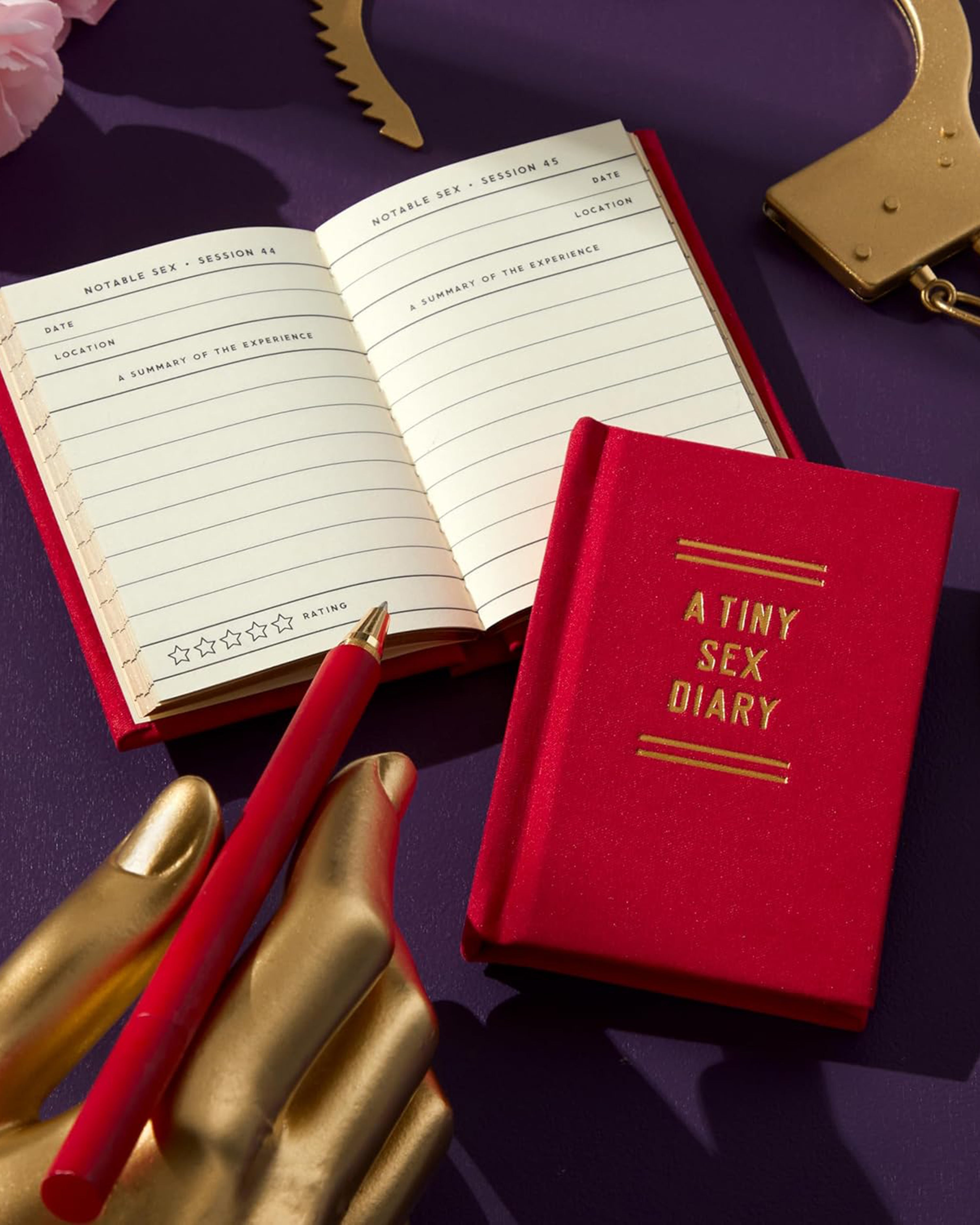 A Tiny Sex Diary