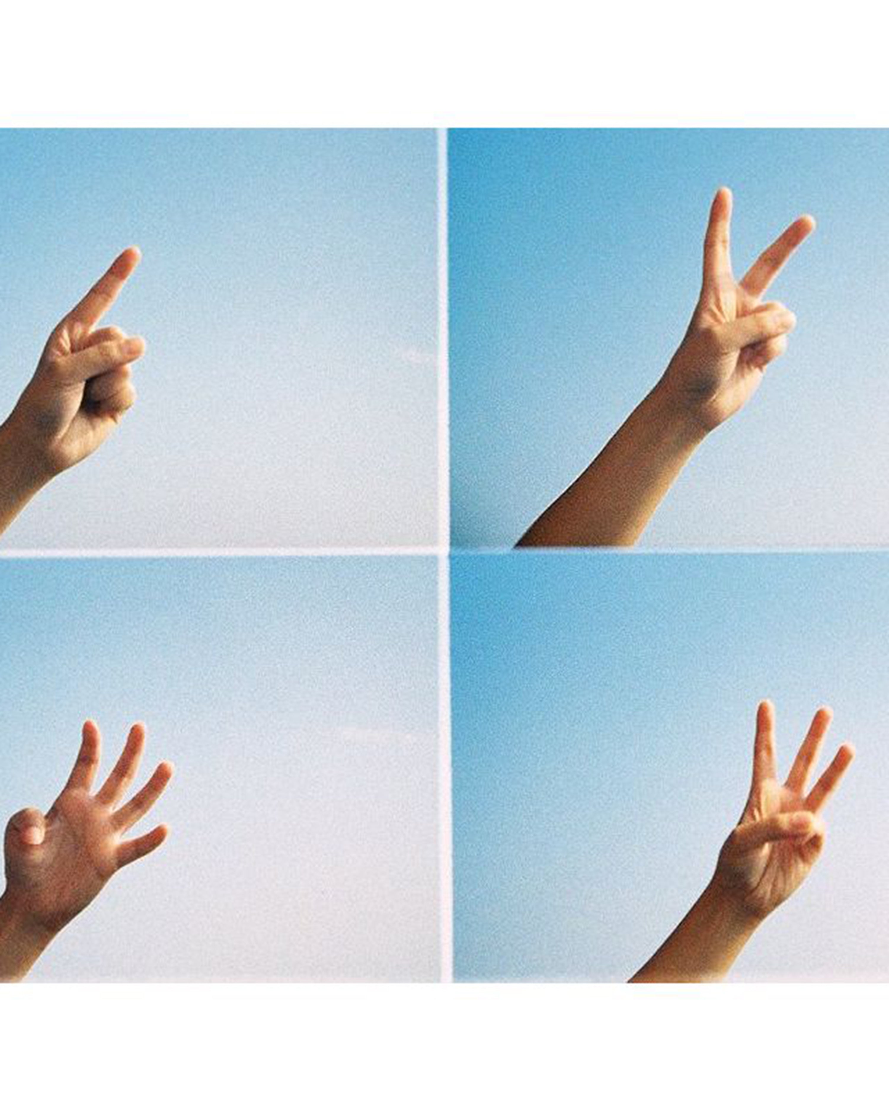 ActionSampler Clear