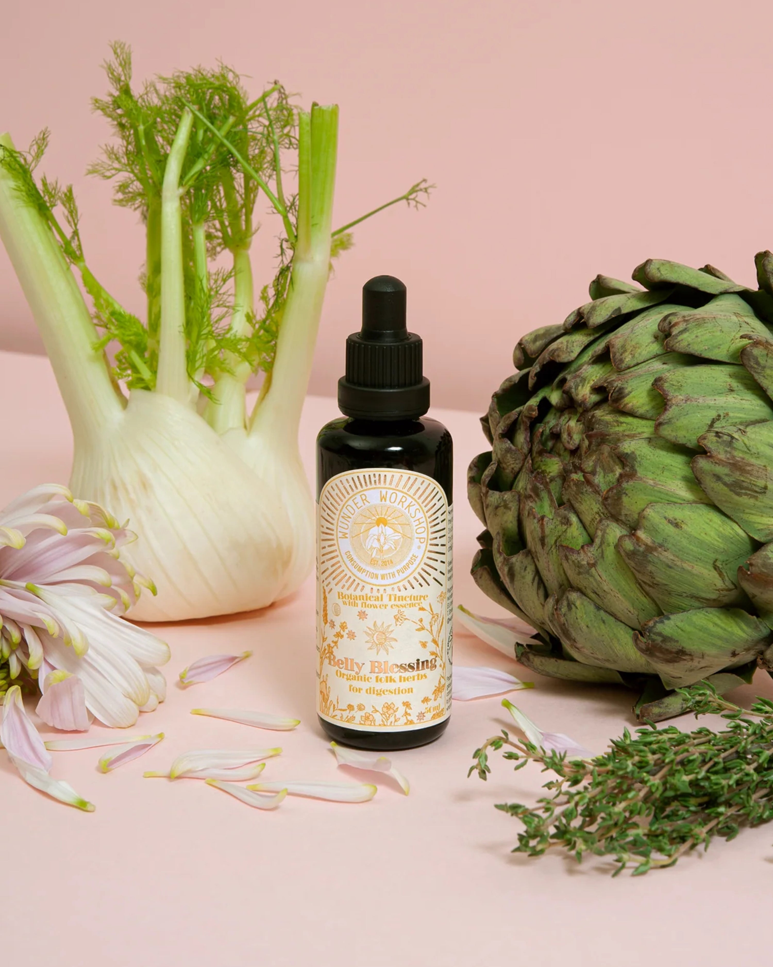 Belly Blessing Herbal Tincture folk herbs