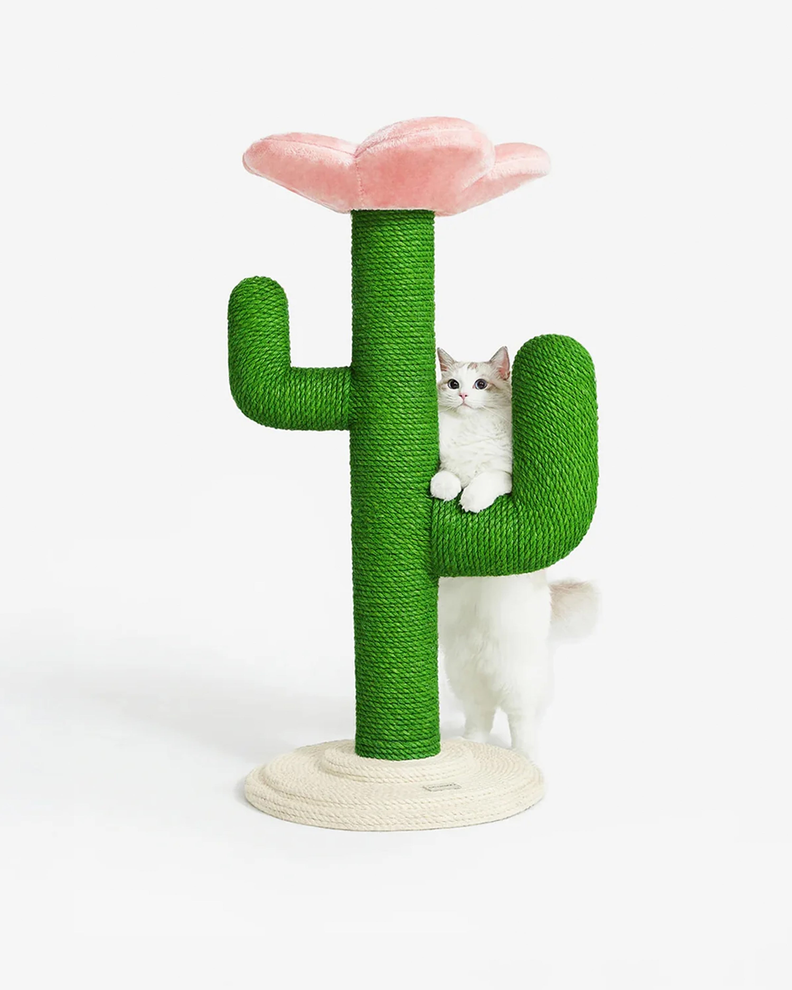 Blooming Cactus Cat Tree