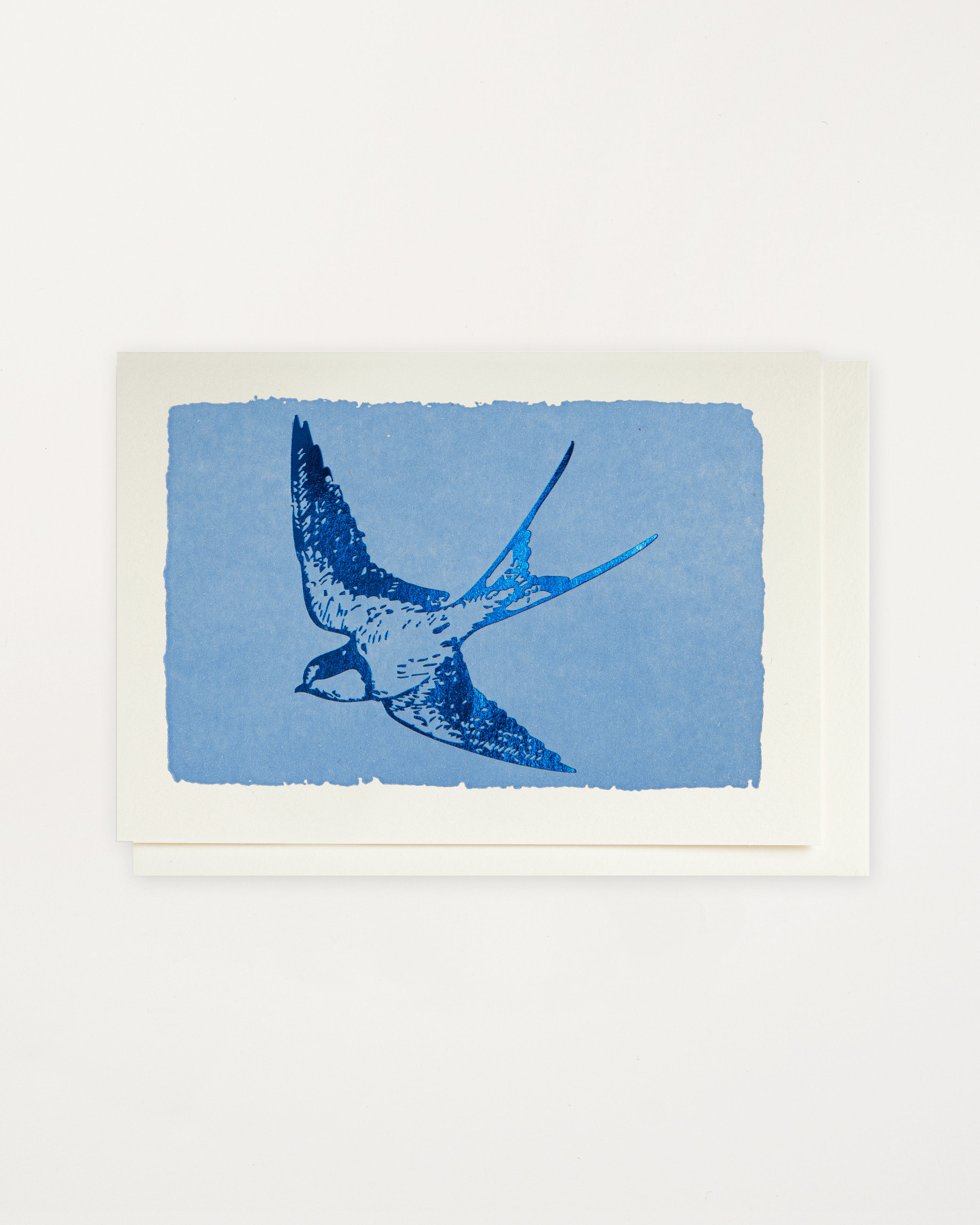 Blue Foil Swallow Card Set