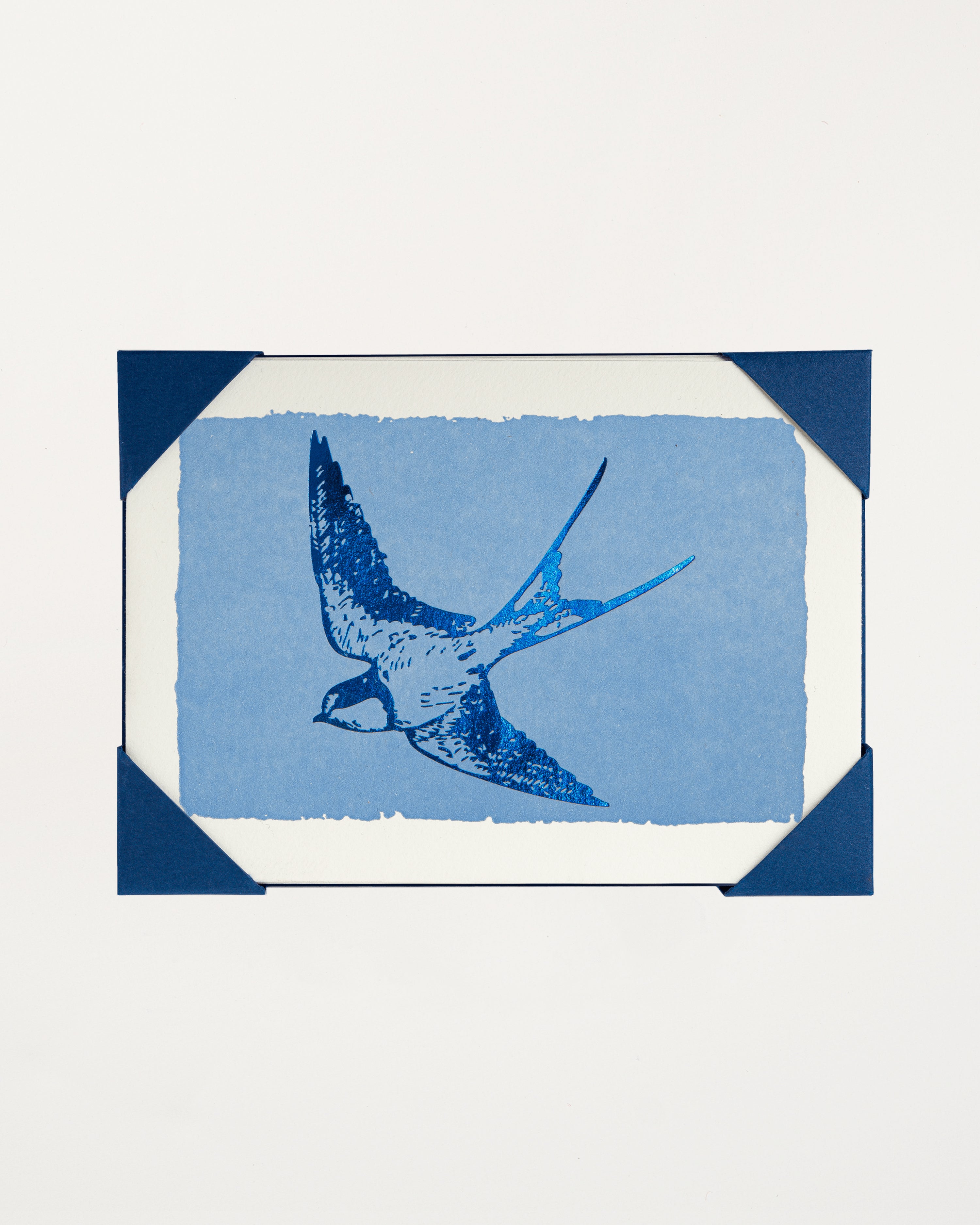 Blue Foil Swallow Card Set