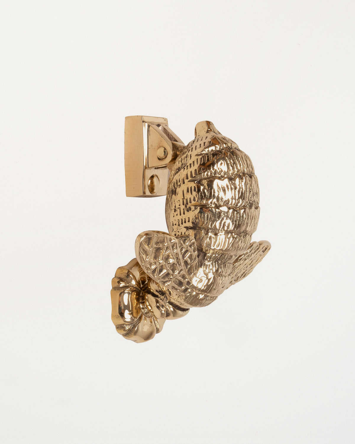 Bumble Bee Door Knocker Polished Brass