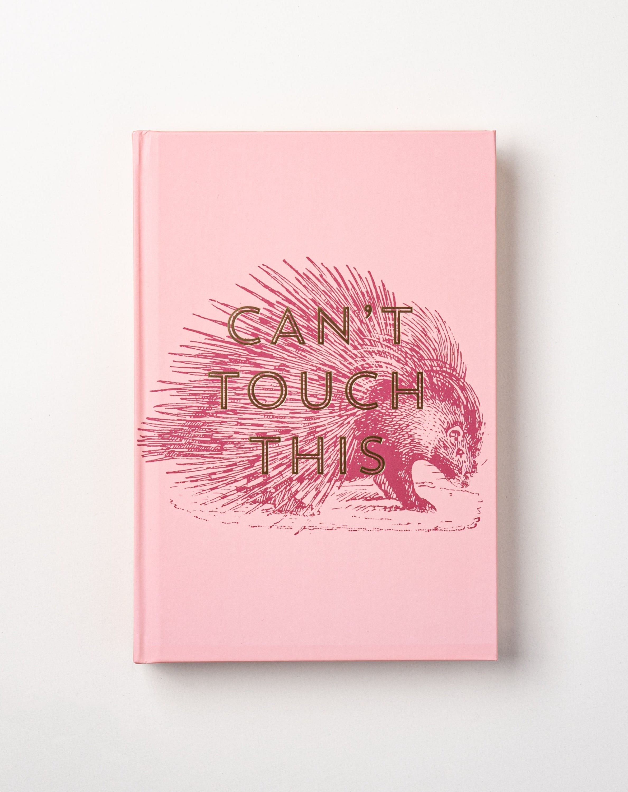 Can't Touch This Notebook