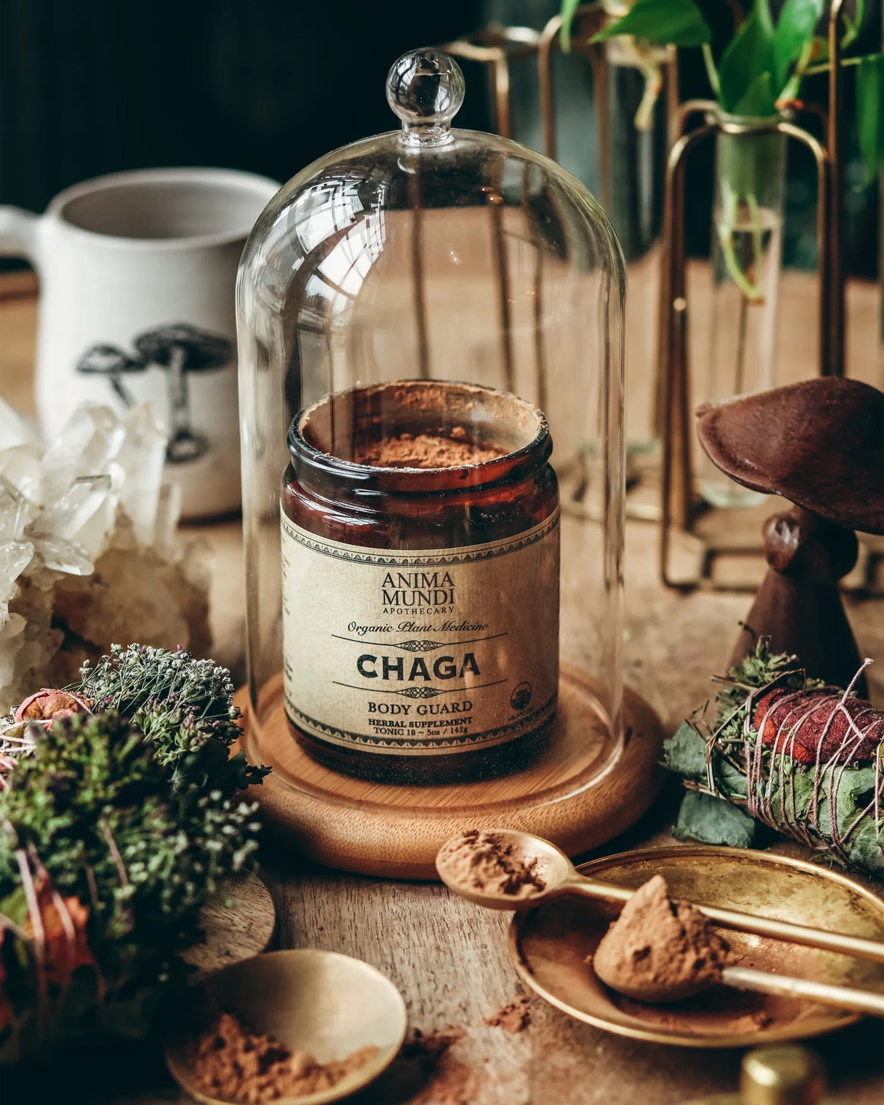 Chaga Powder - 5oz
