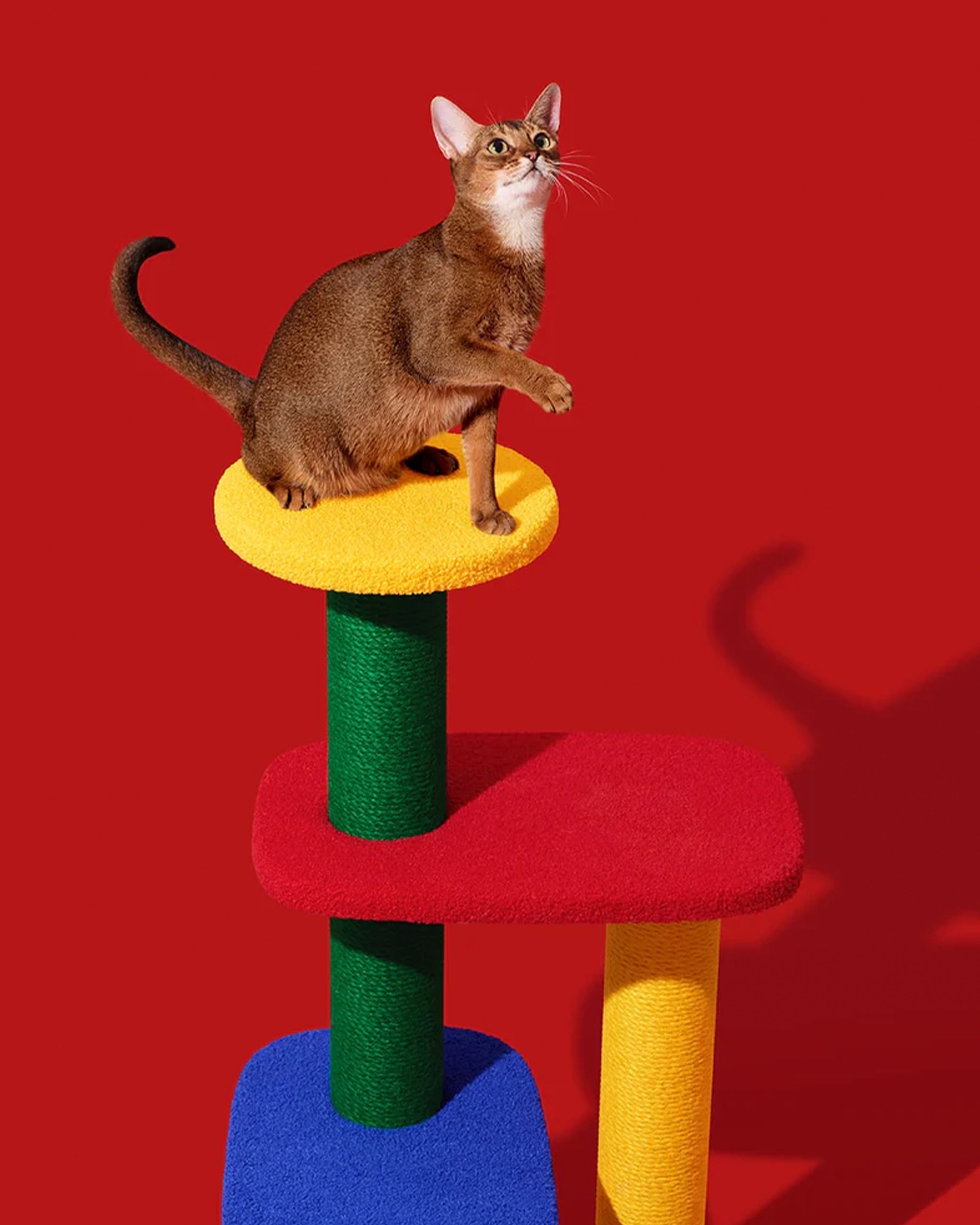 Chroma Cat Climber Open Platform