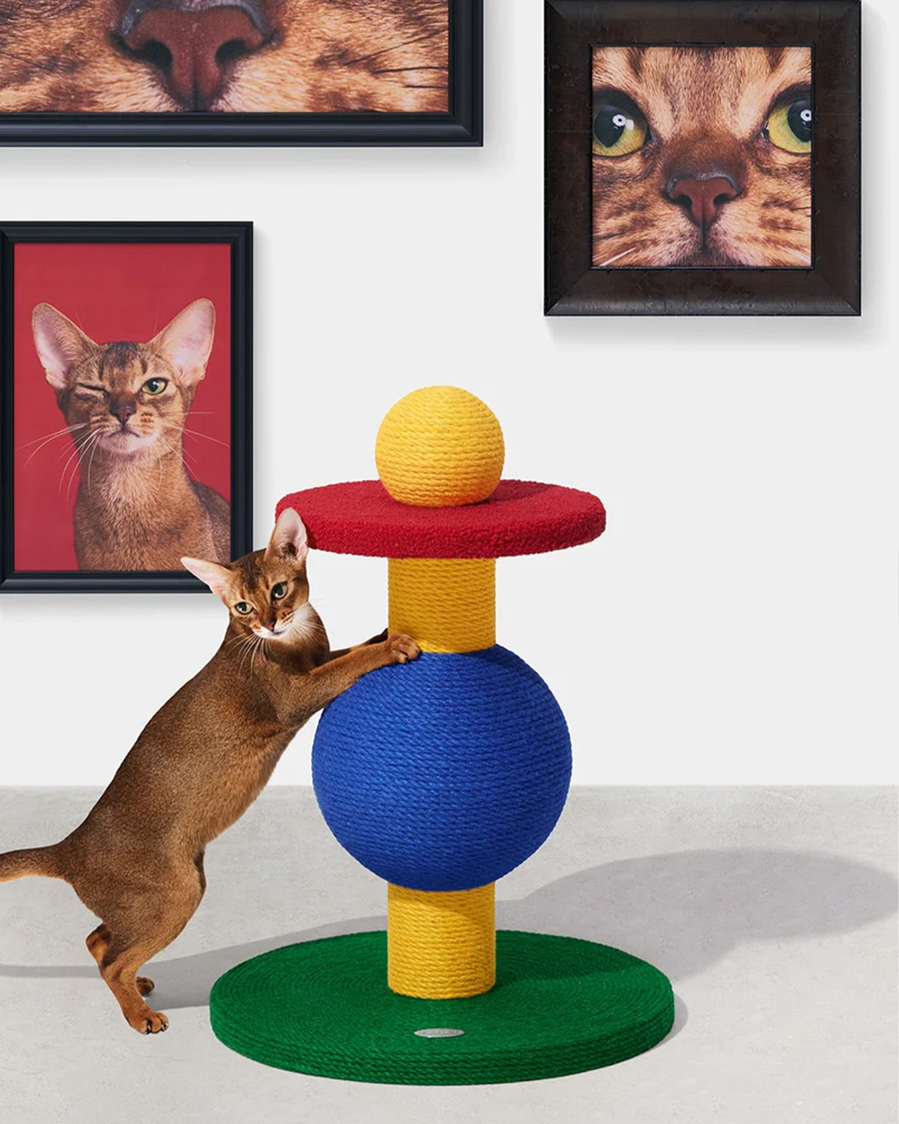 Chroma Cat Scratching Post Playful Ball