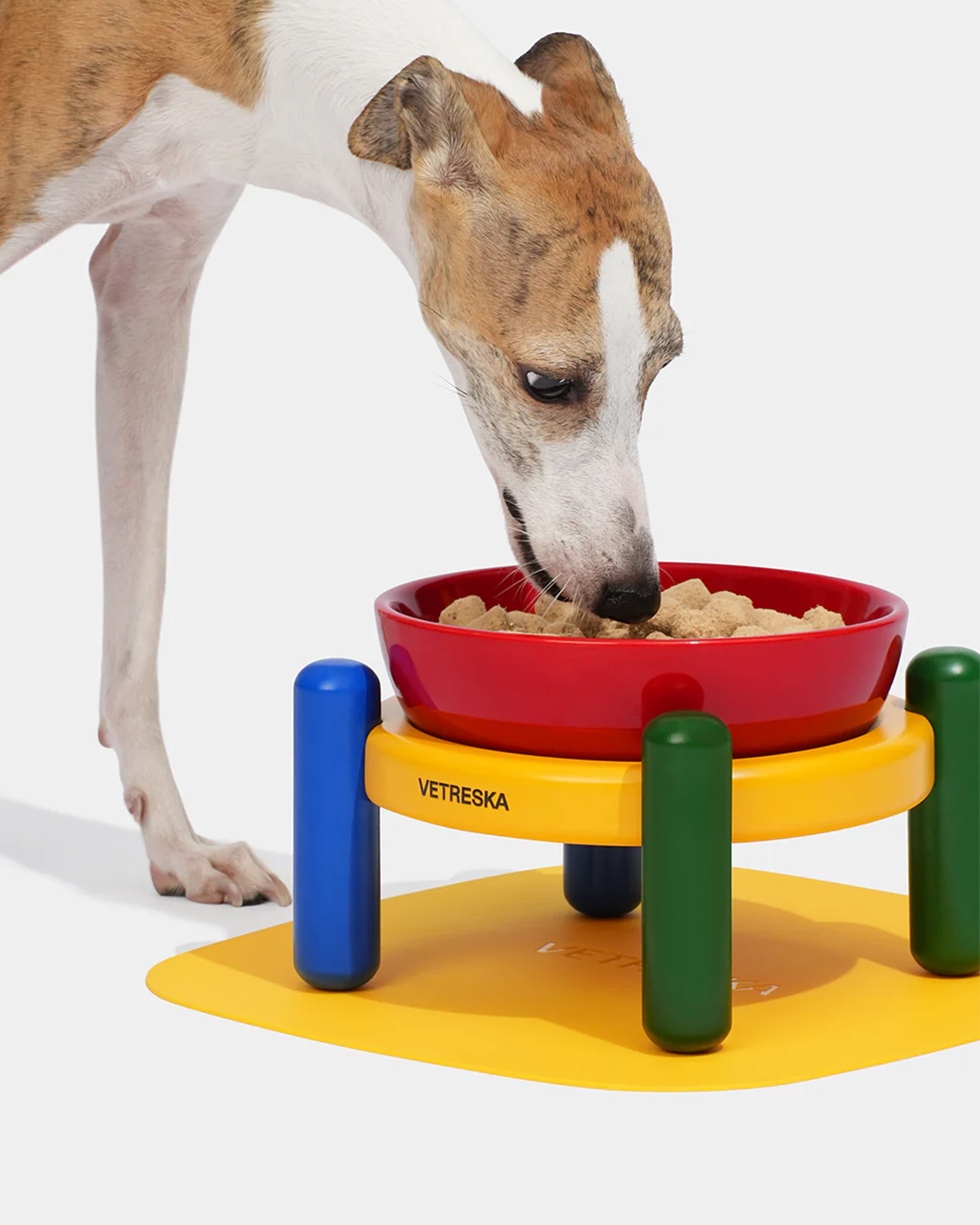 Chroma Ceramic Pet Bowl & Mat Set (M)