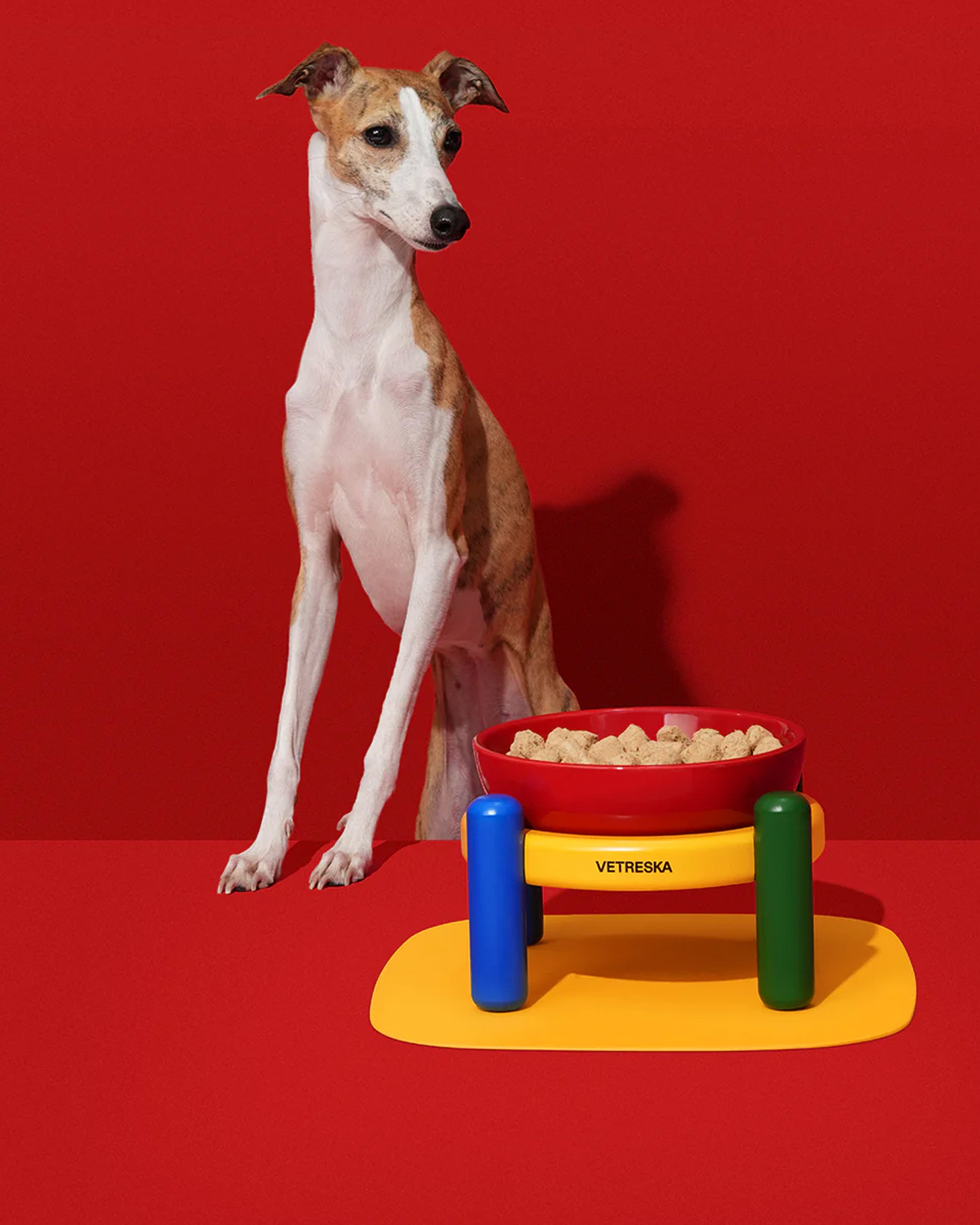 Chroma Ceramic Pet Bowl & Mat Set (M)