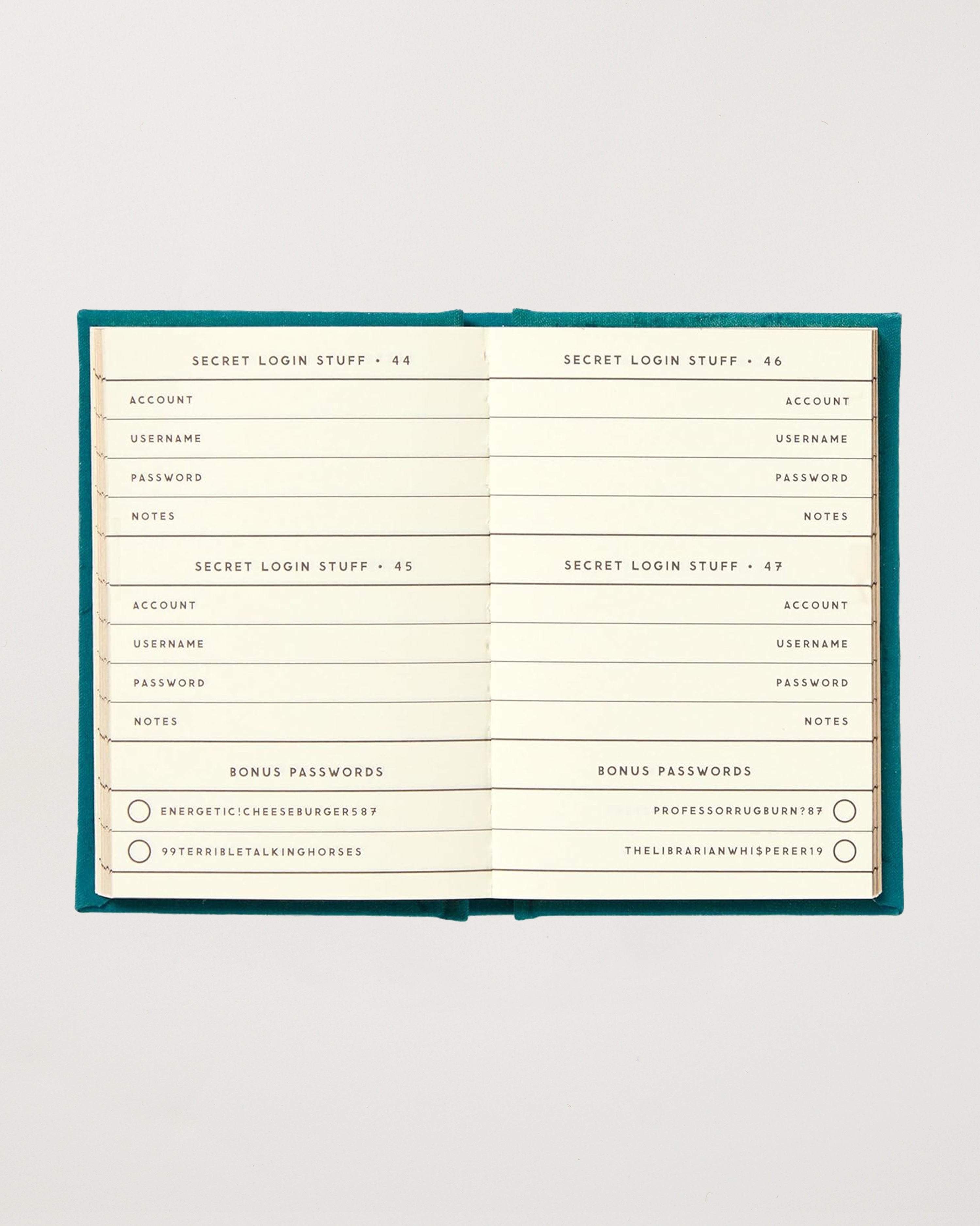 Definitely Not My Passwords Diary