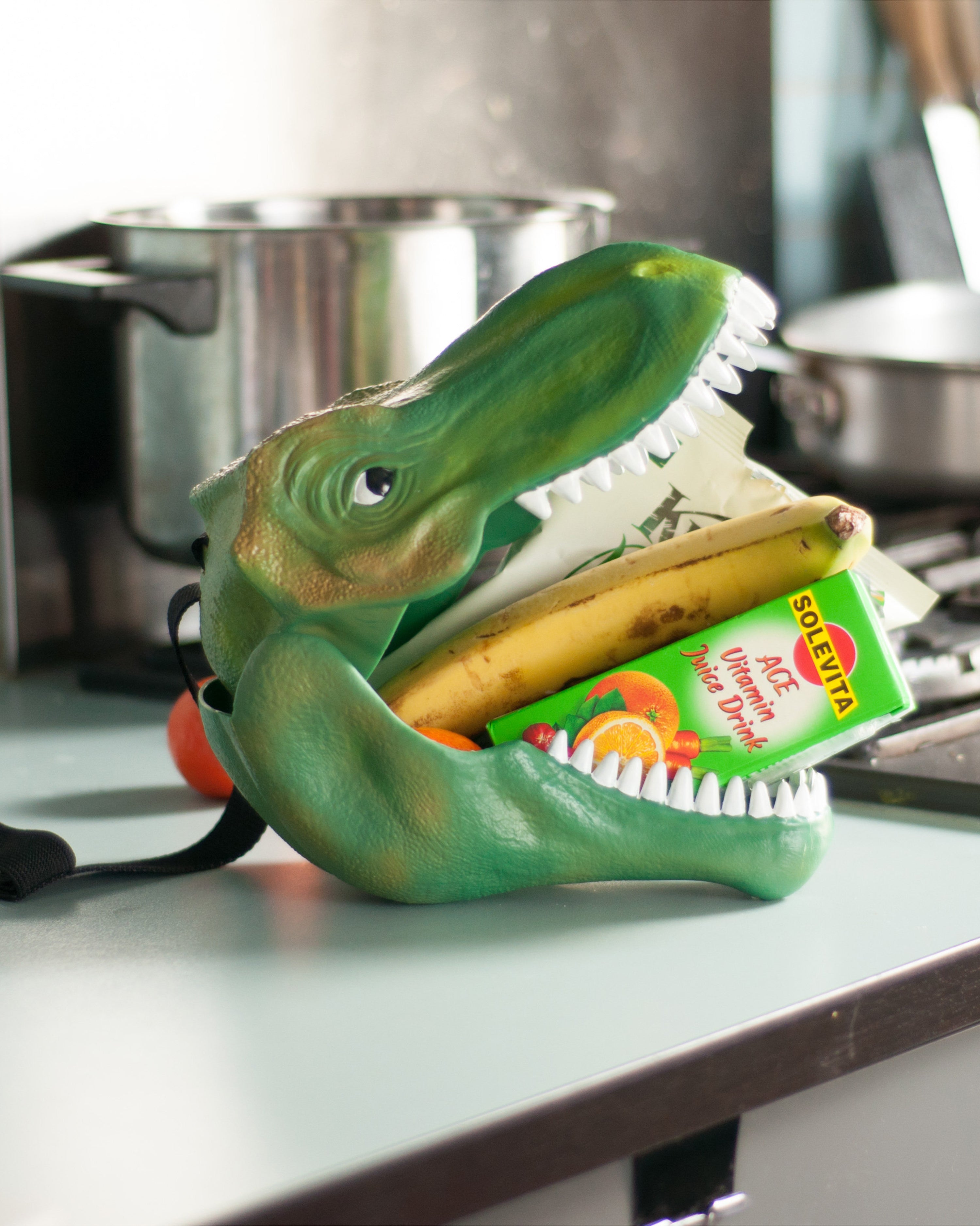 Dinosaur Lunch Box