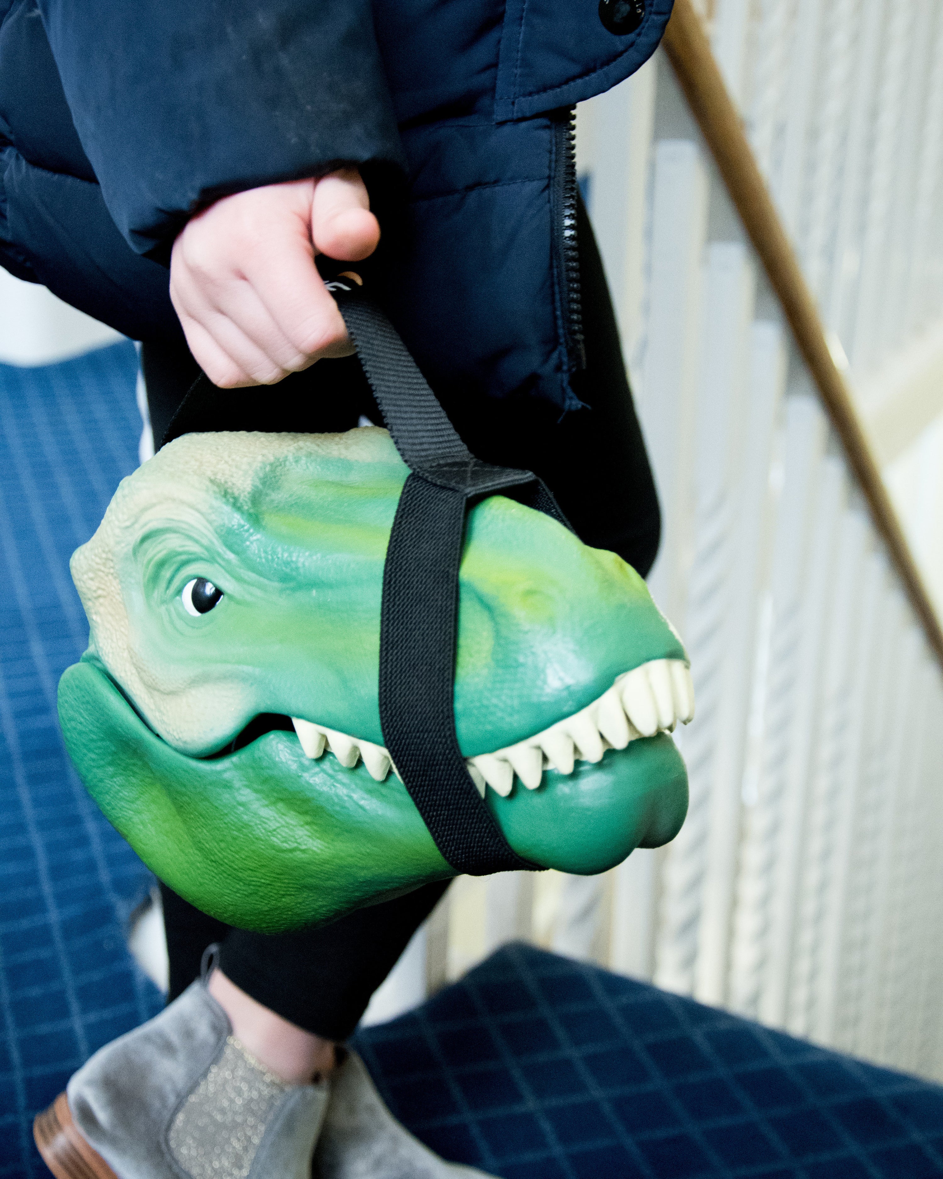 Dinosaur Lunch Box