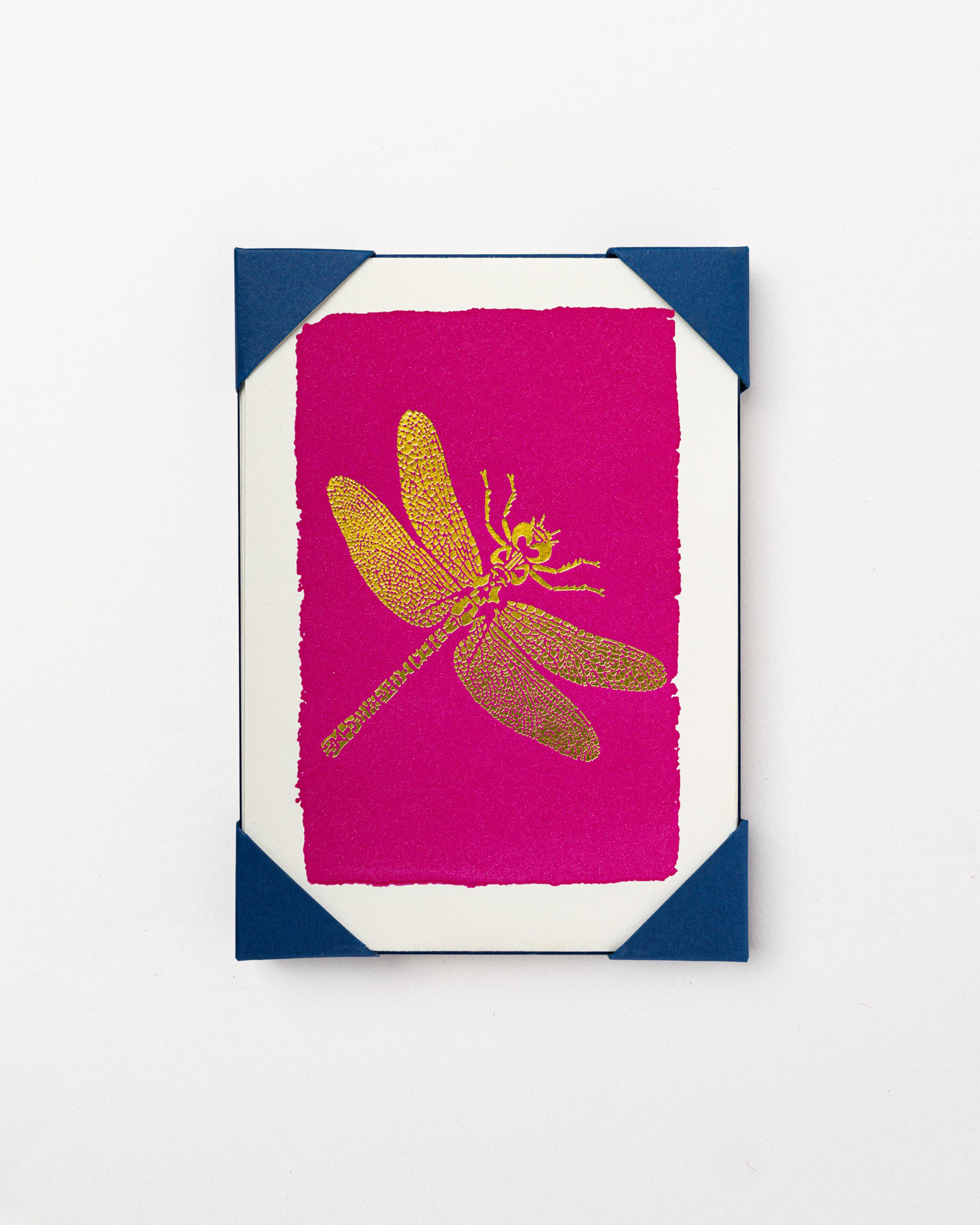Dragonfly Card Set