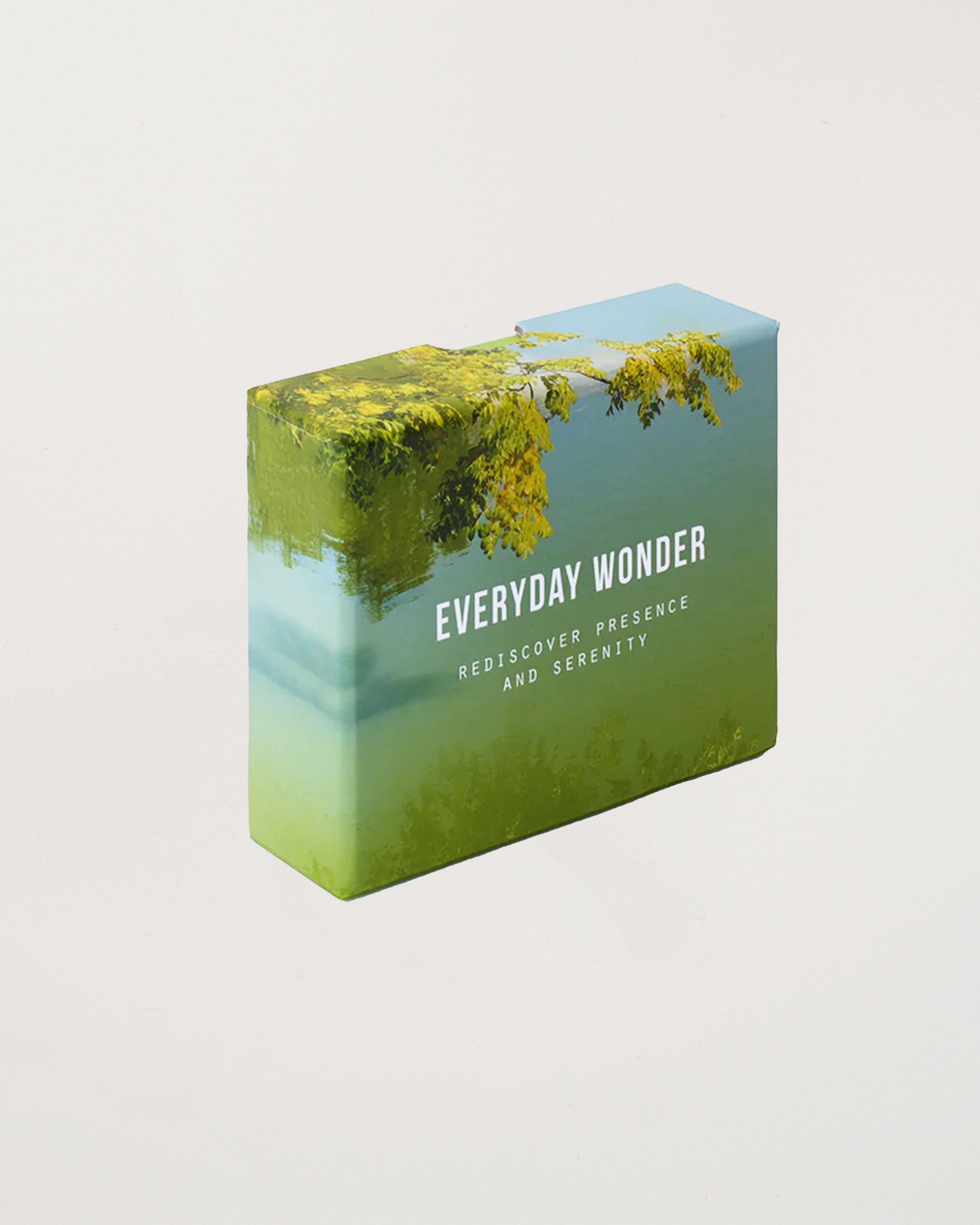 Everyday Wonder