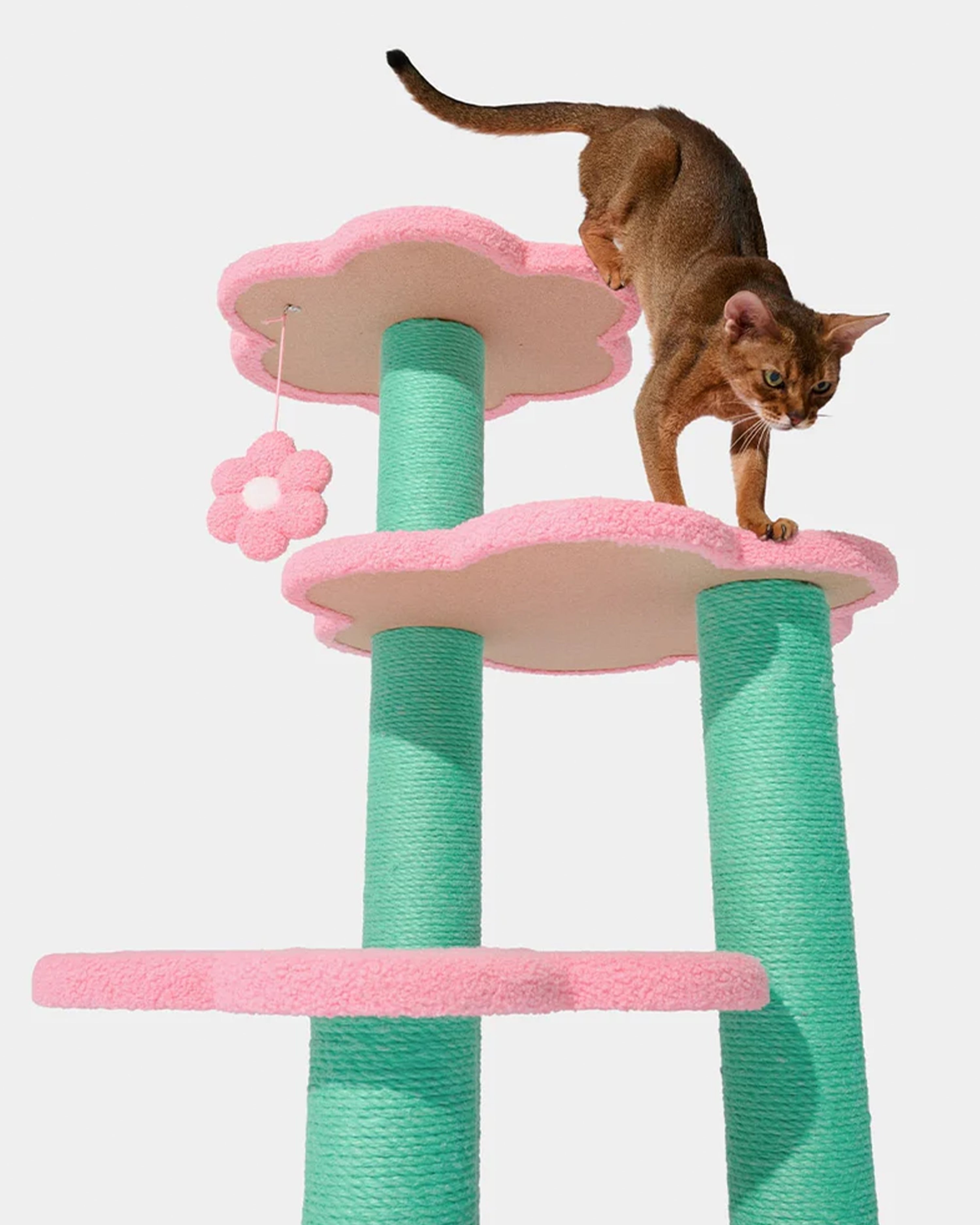 Flora Cat Climber Four Platforms