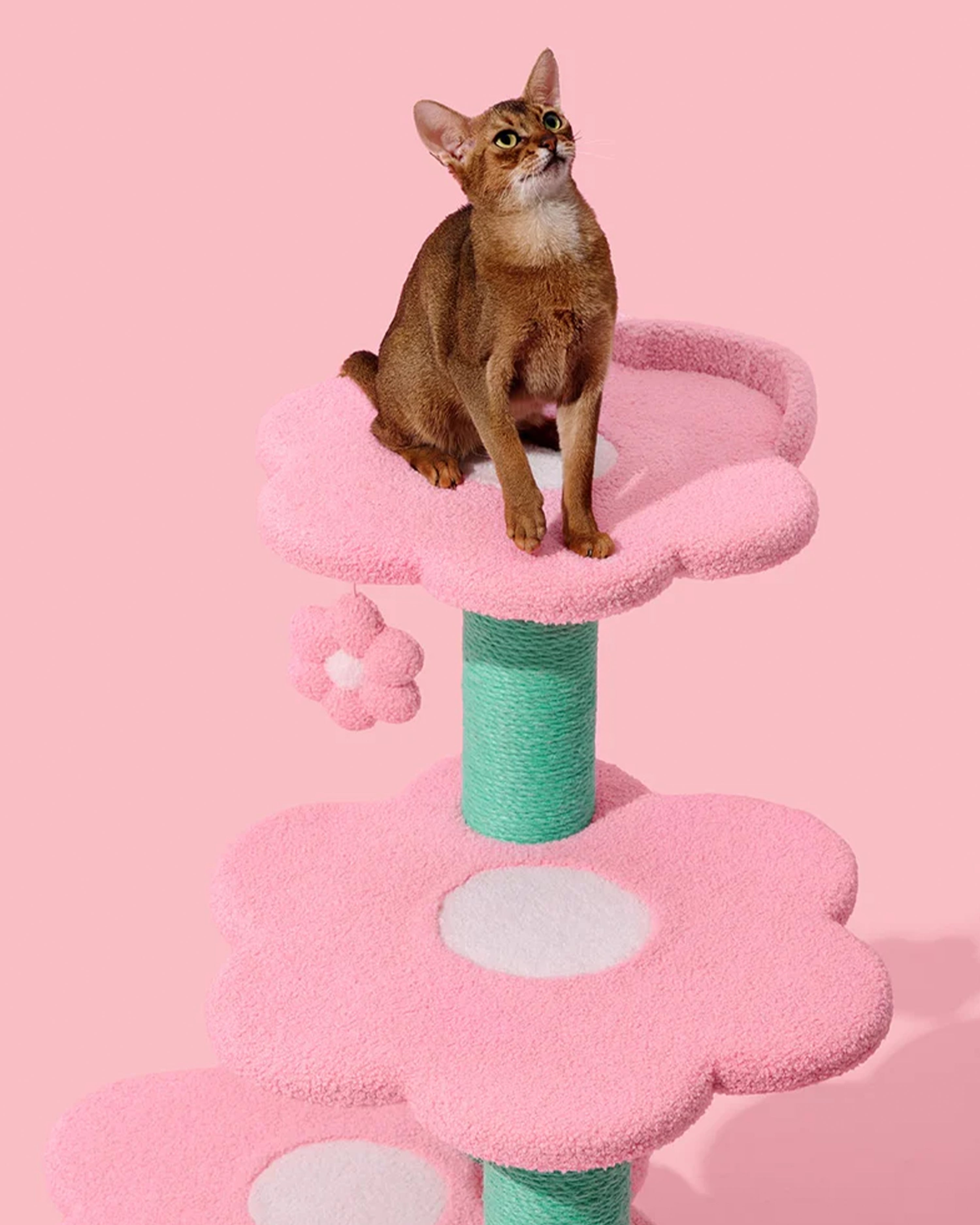 Flora Cat Climber Four Platforms