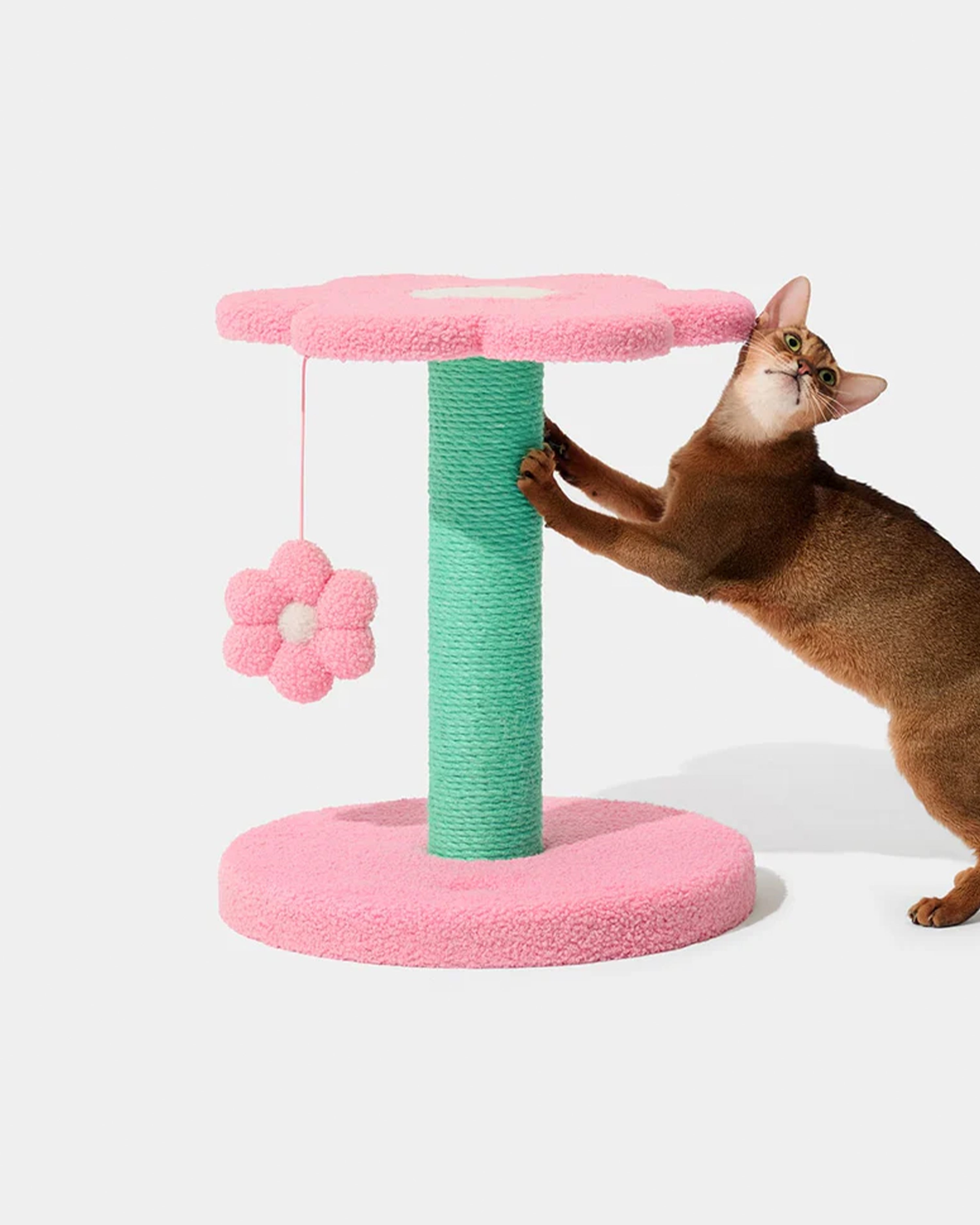 Flora Cat Climber Two Platforms