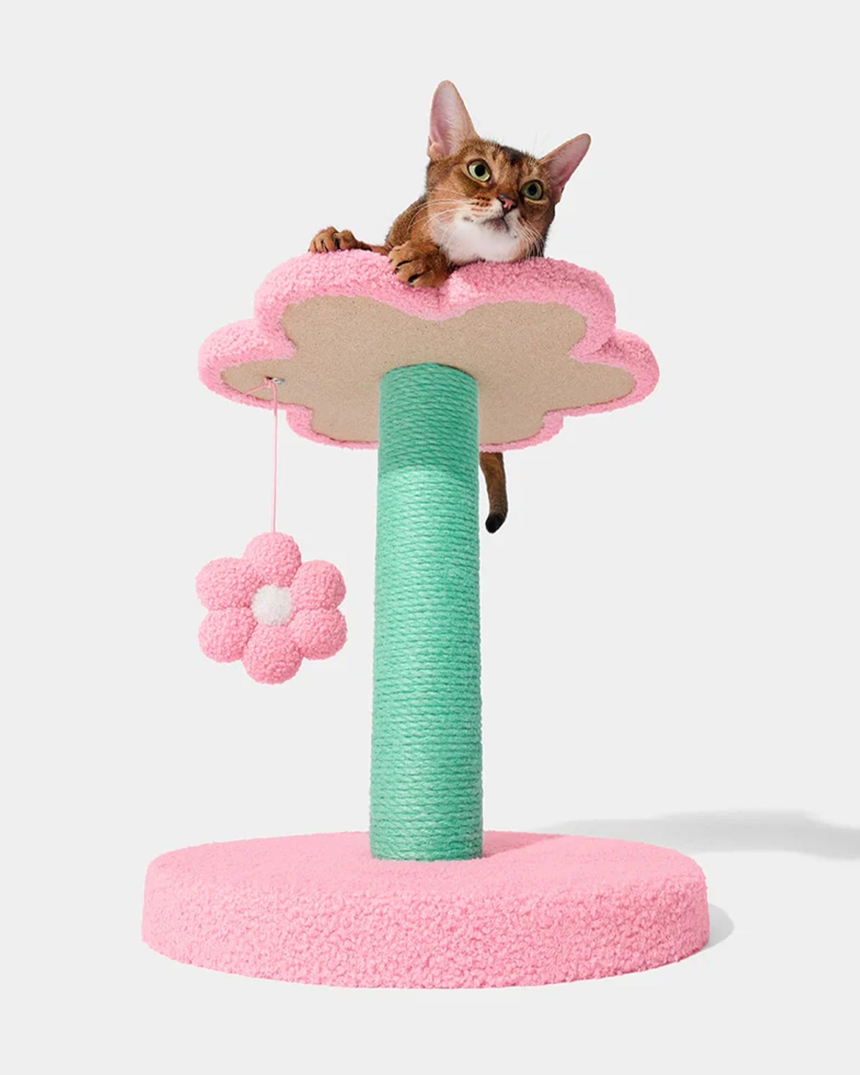 Flora Cat Climber Two Platforms
