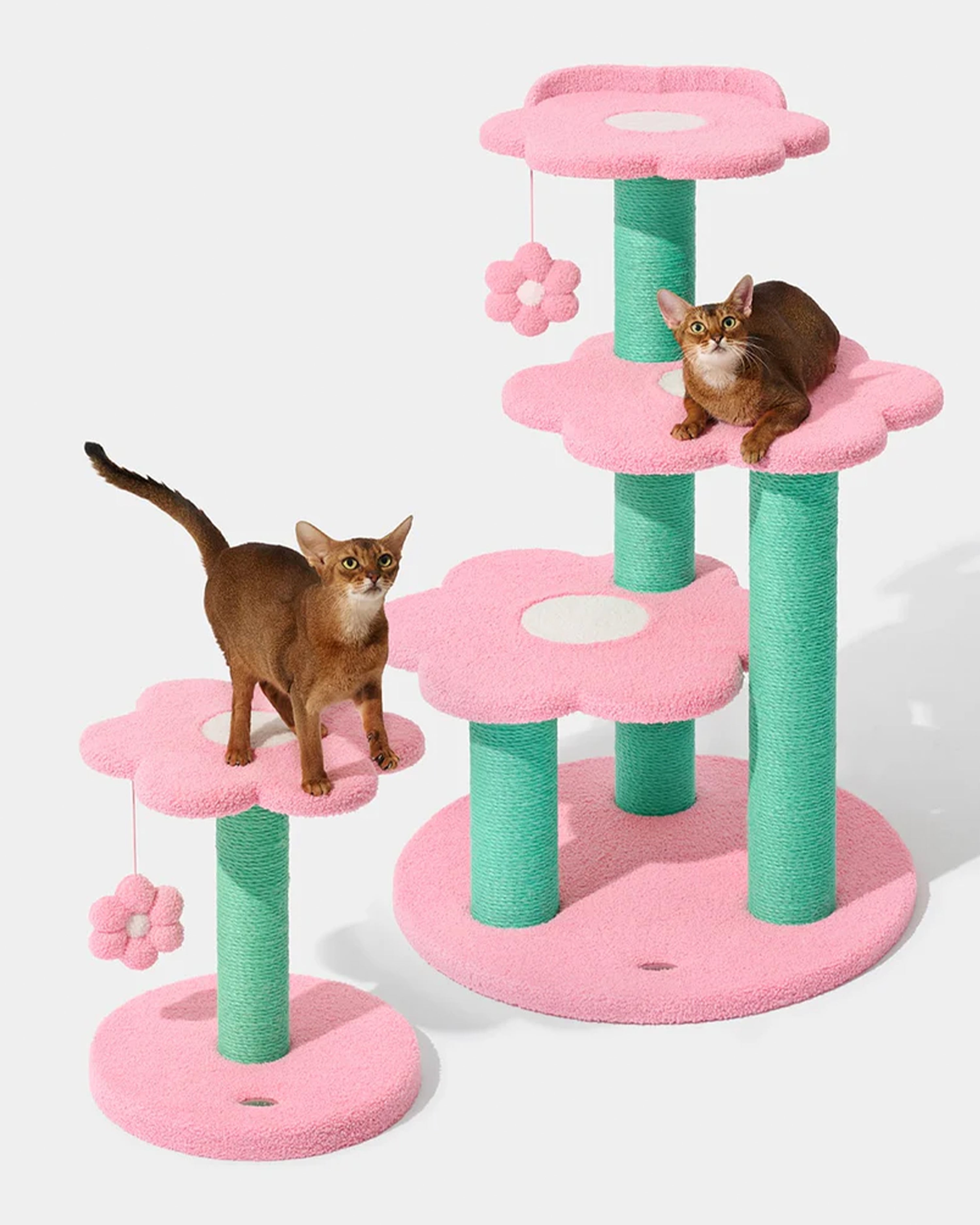 Flora Cat Climber Two Platforms