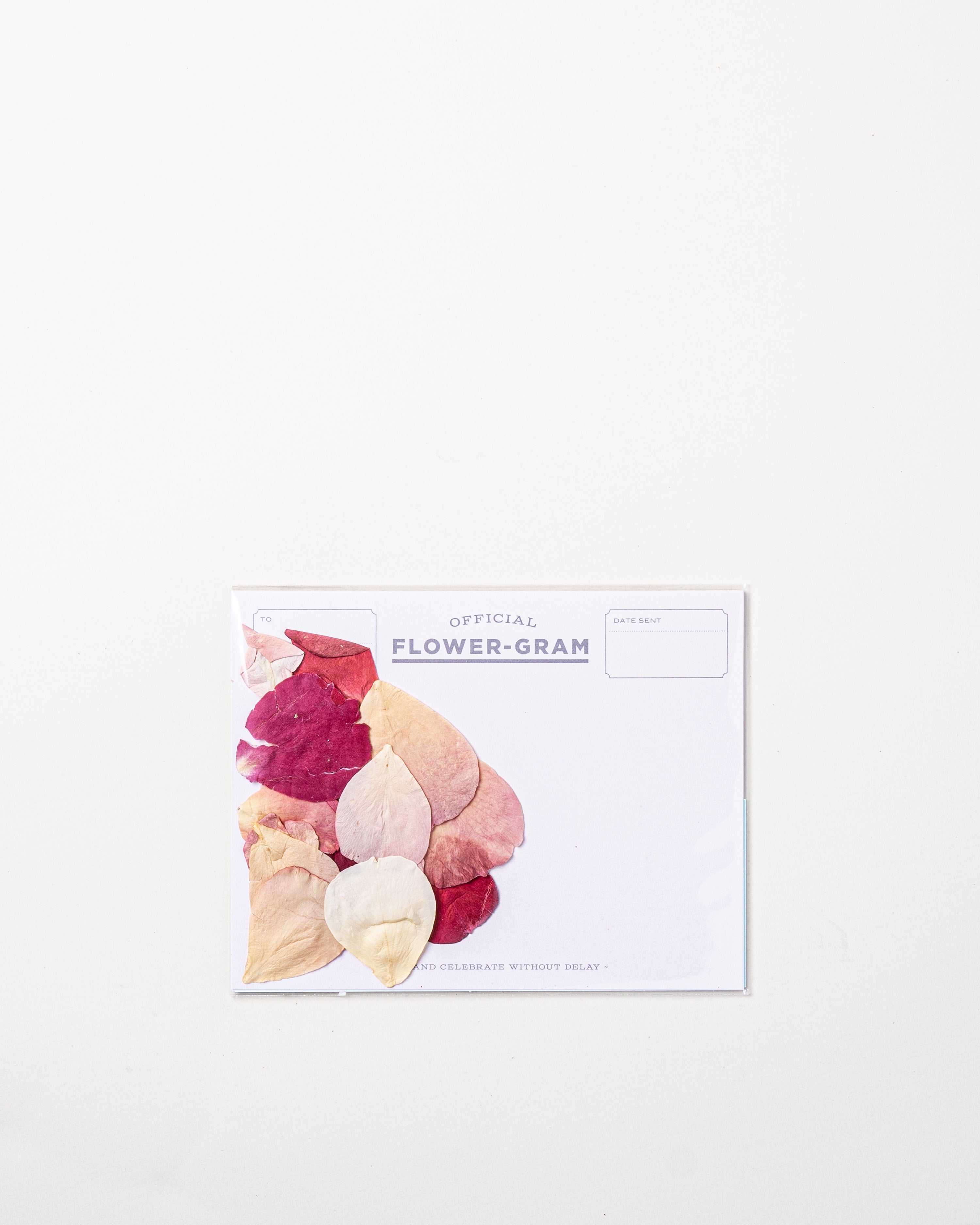 Flowergram Dried Petals