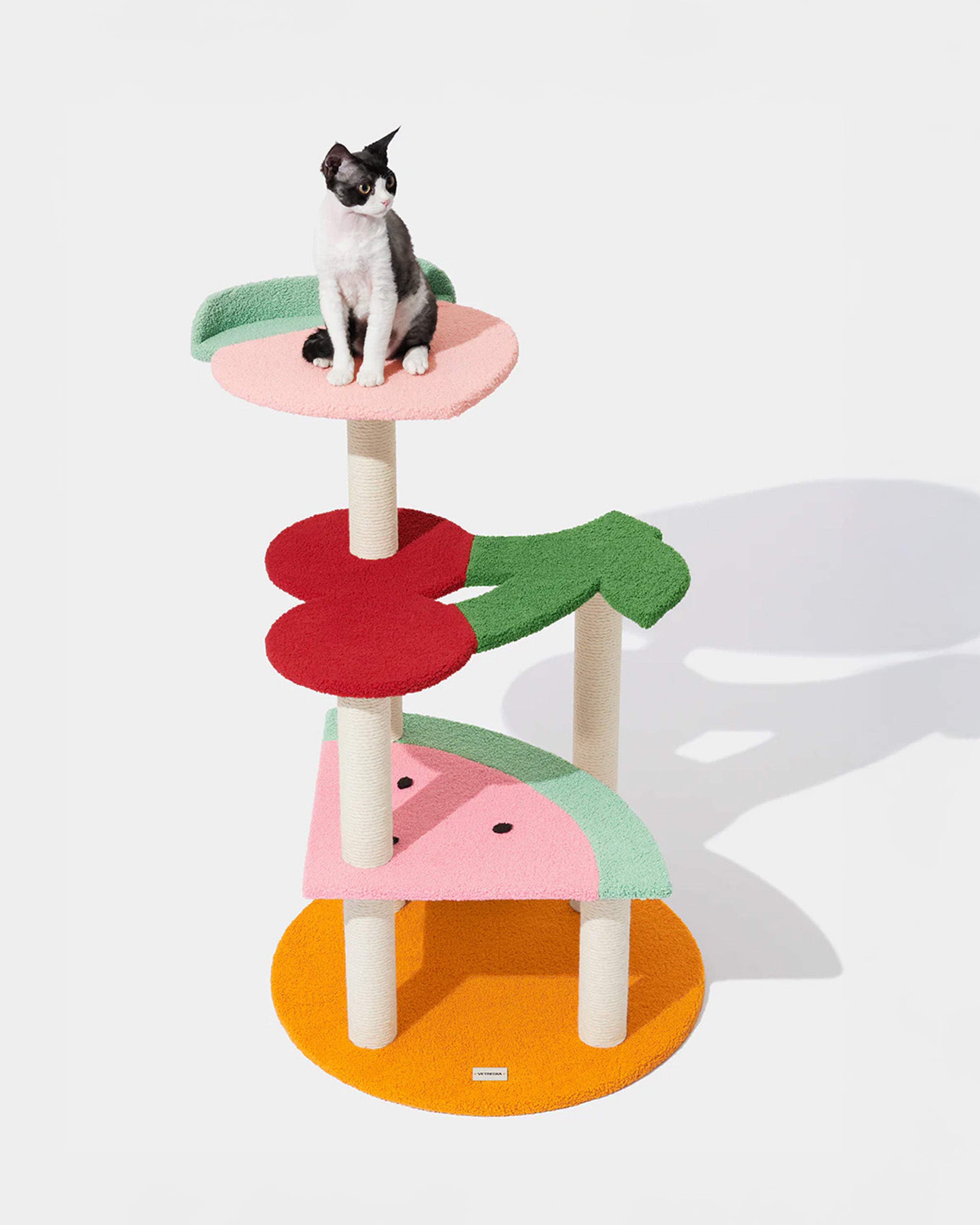 Fruit Frenzy Cat Climber