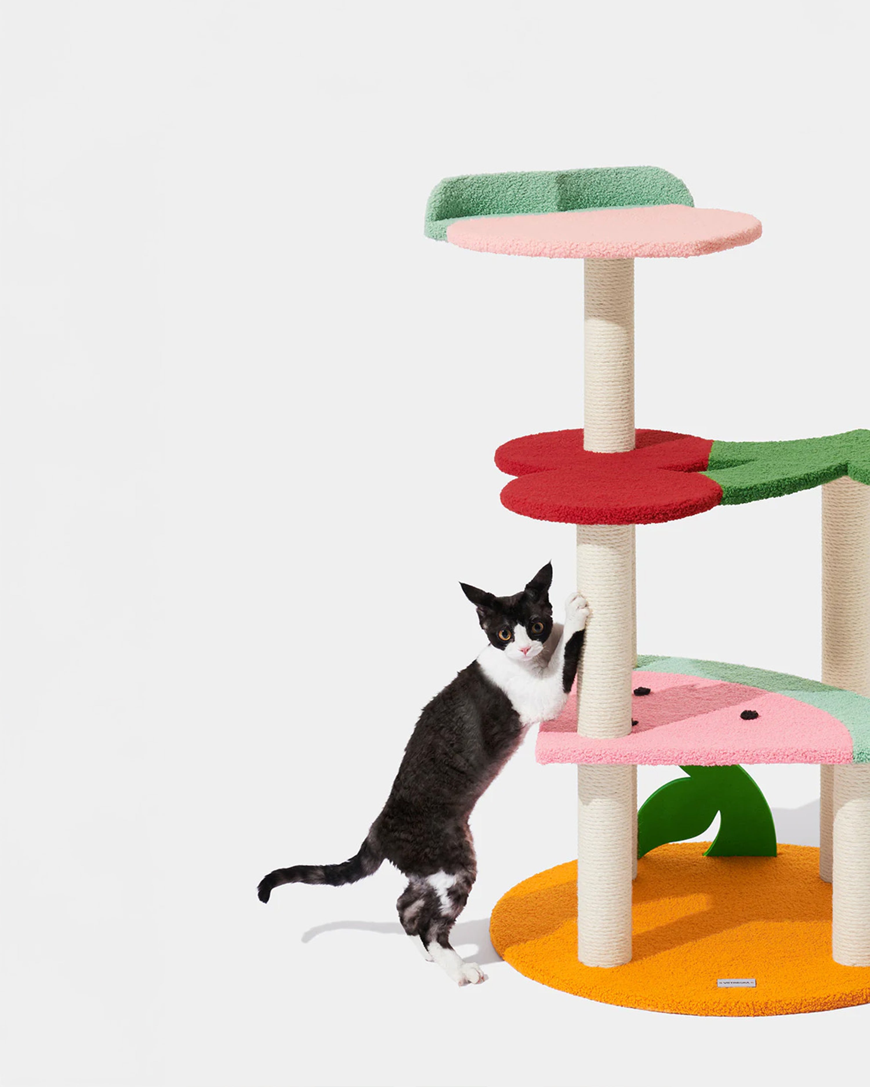 Fruit Frenzy Cat Climber