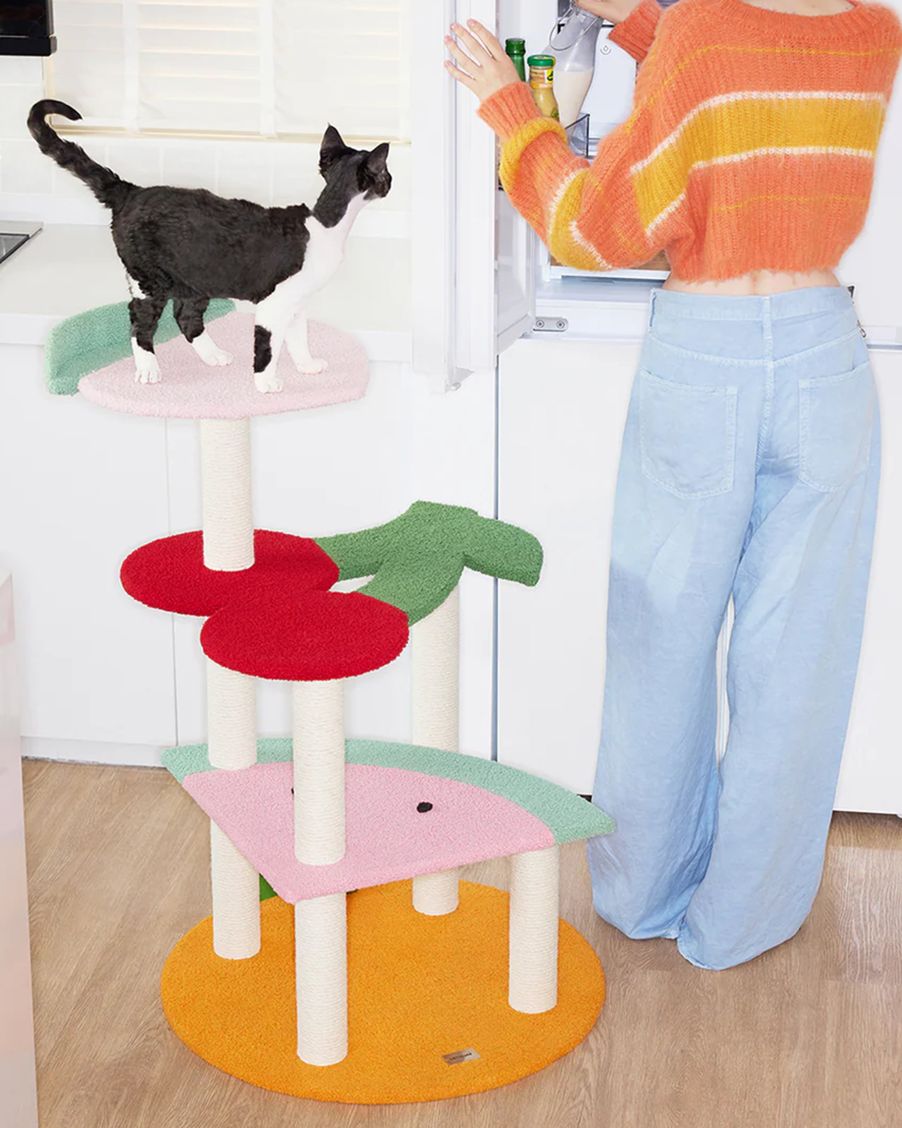 Fruit Frenzy Cat Climber