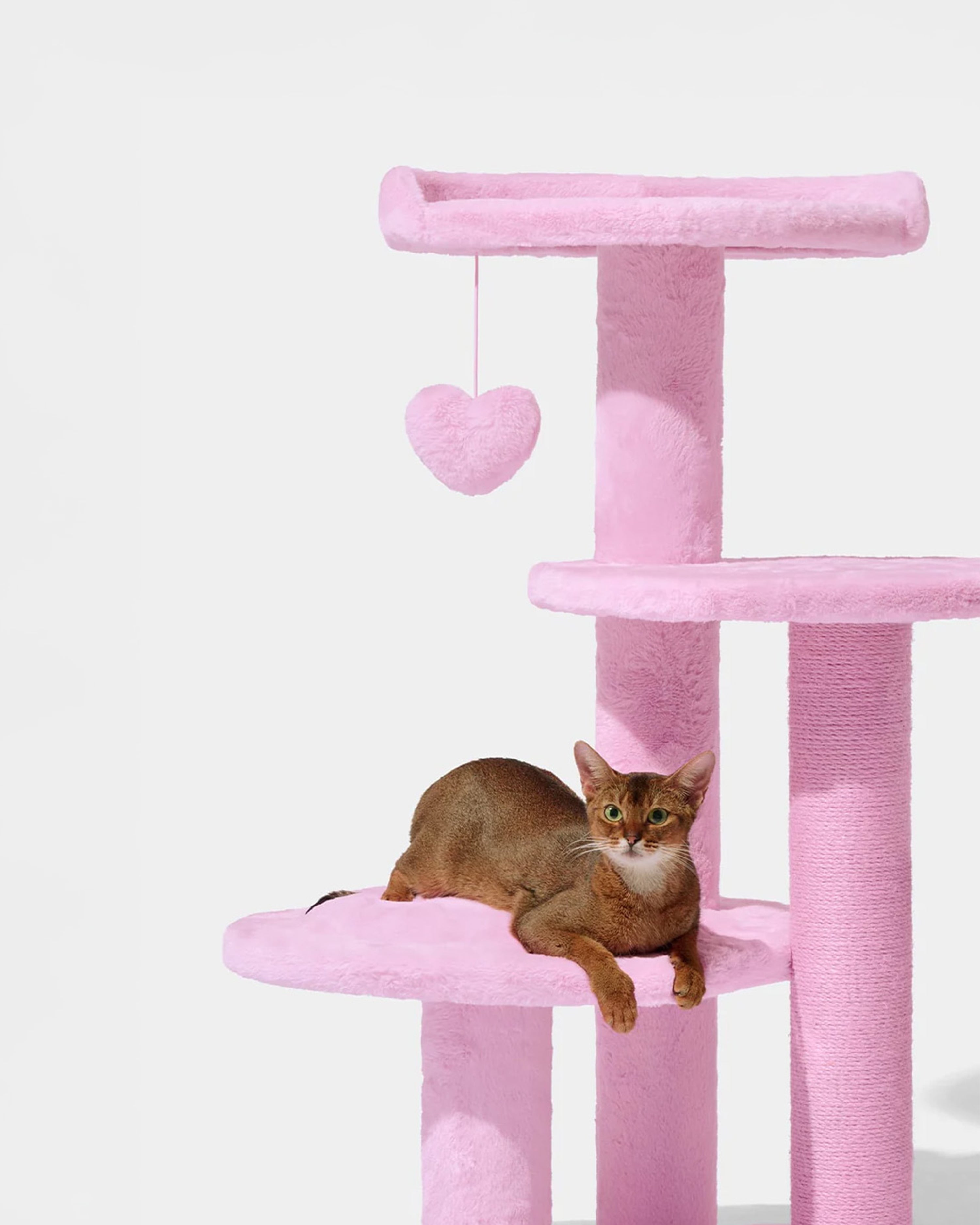 Heartpurrink Cat Climber