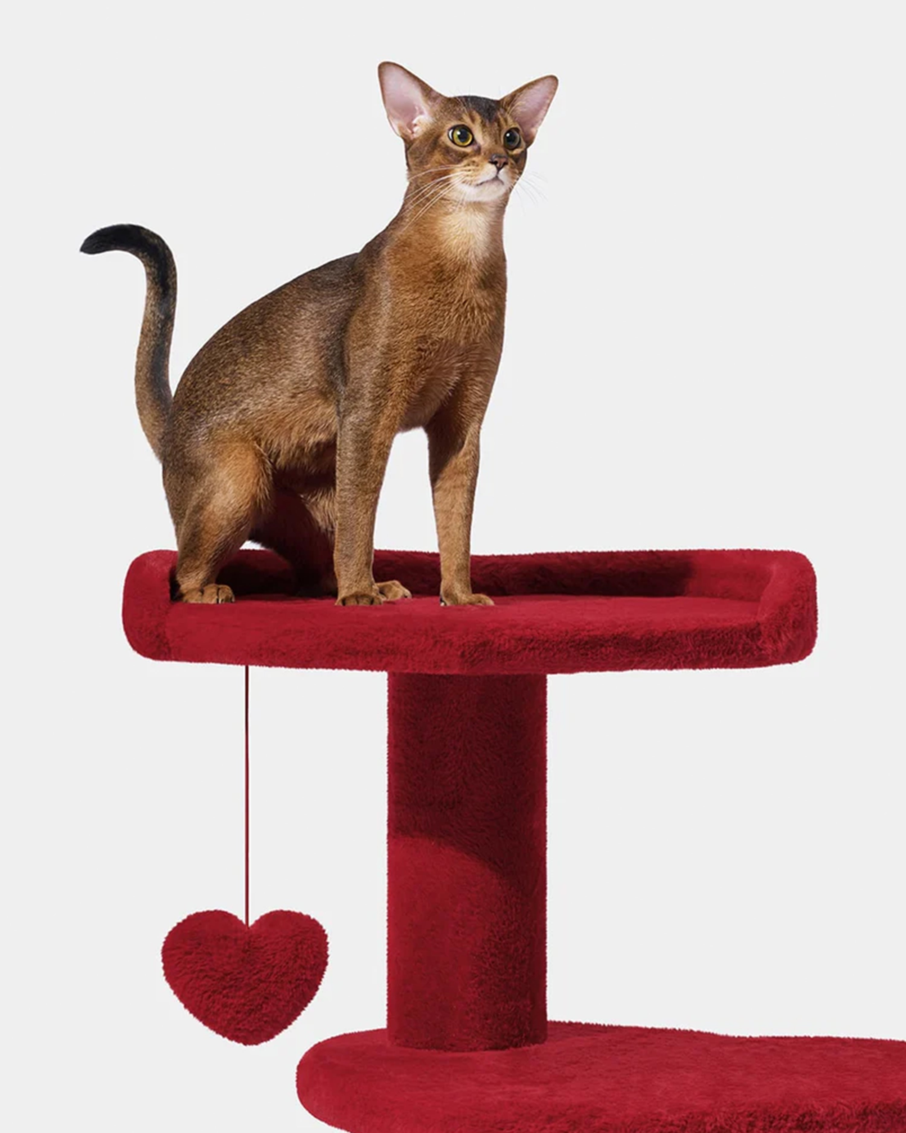 Heartpurrouge Cat Climber Four Platforms