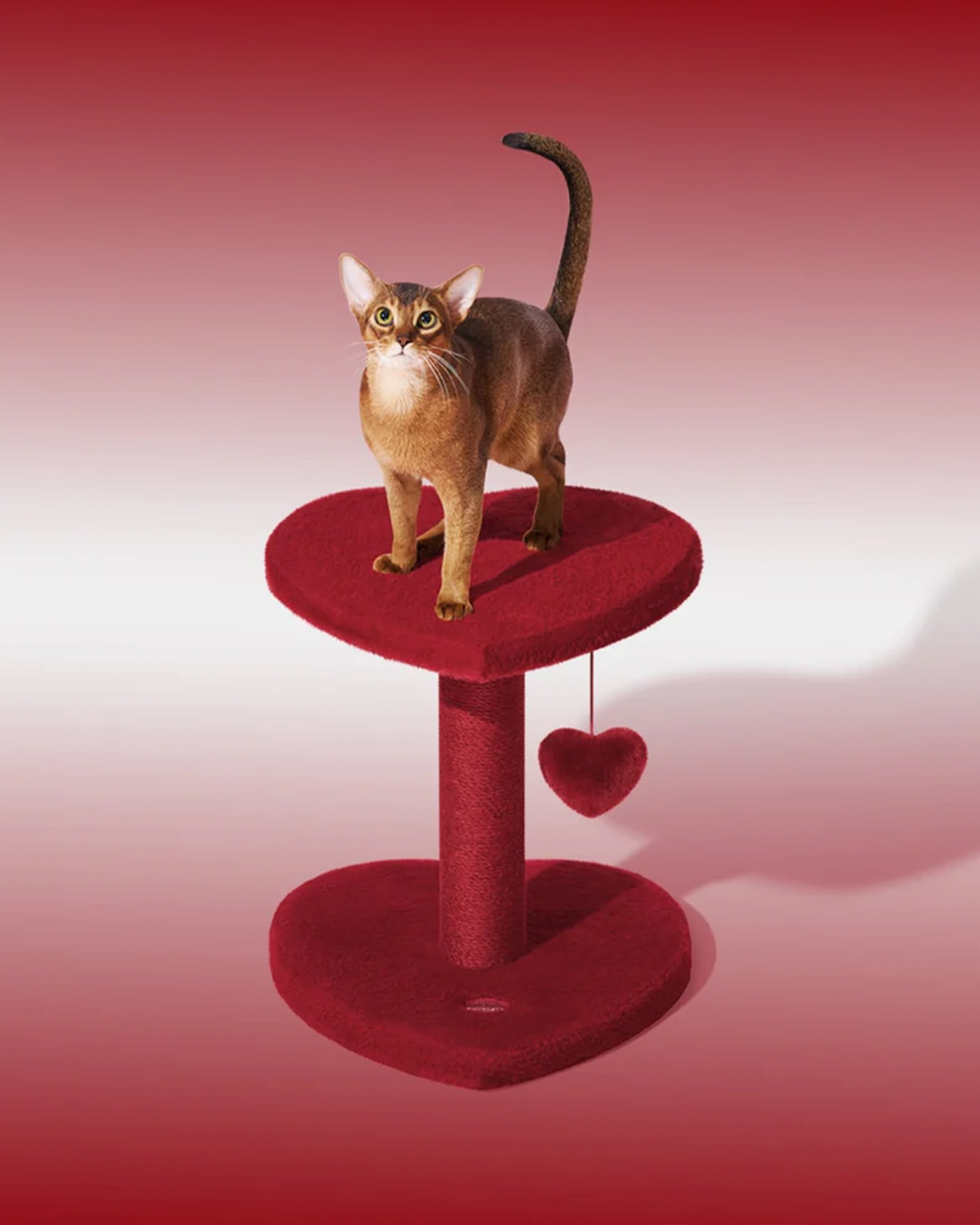 Heartpurrouge Cat Climber Two Platforms