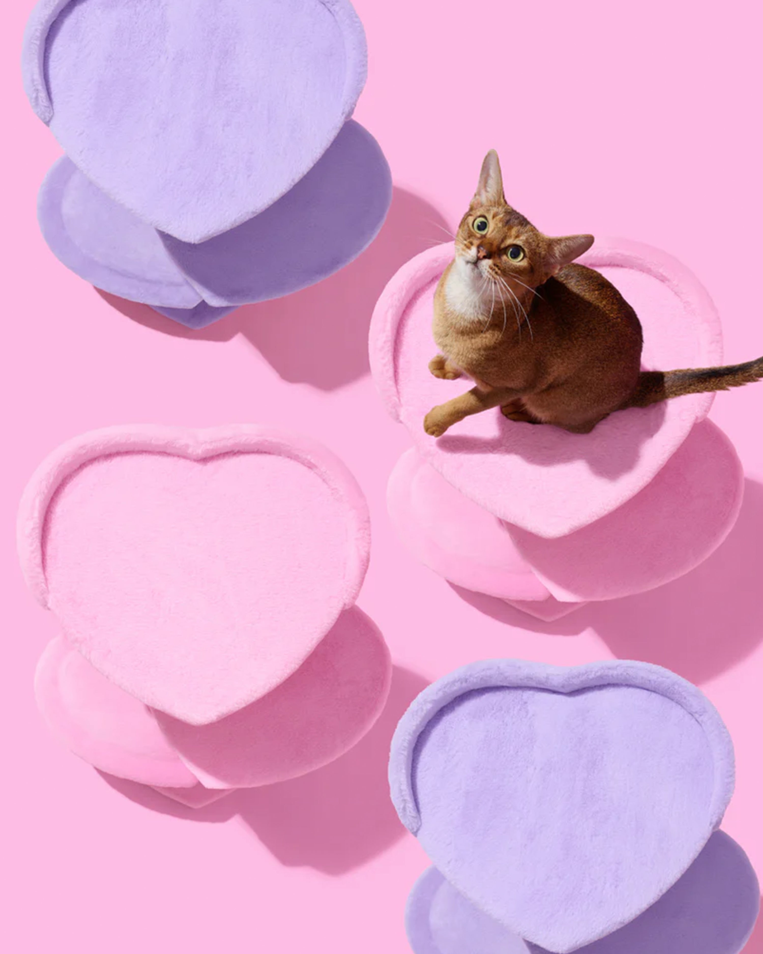 Heartpurrple Cat Climber Two Platforms