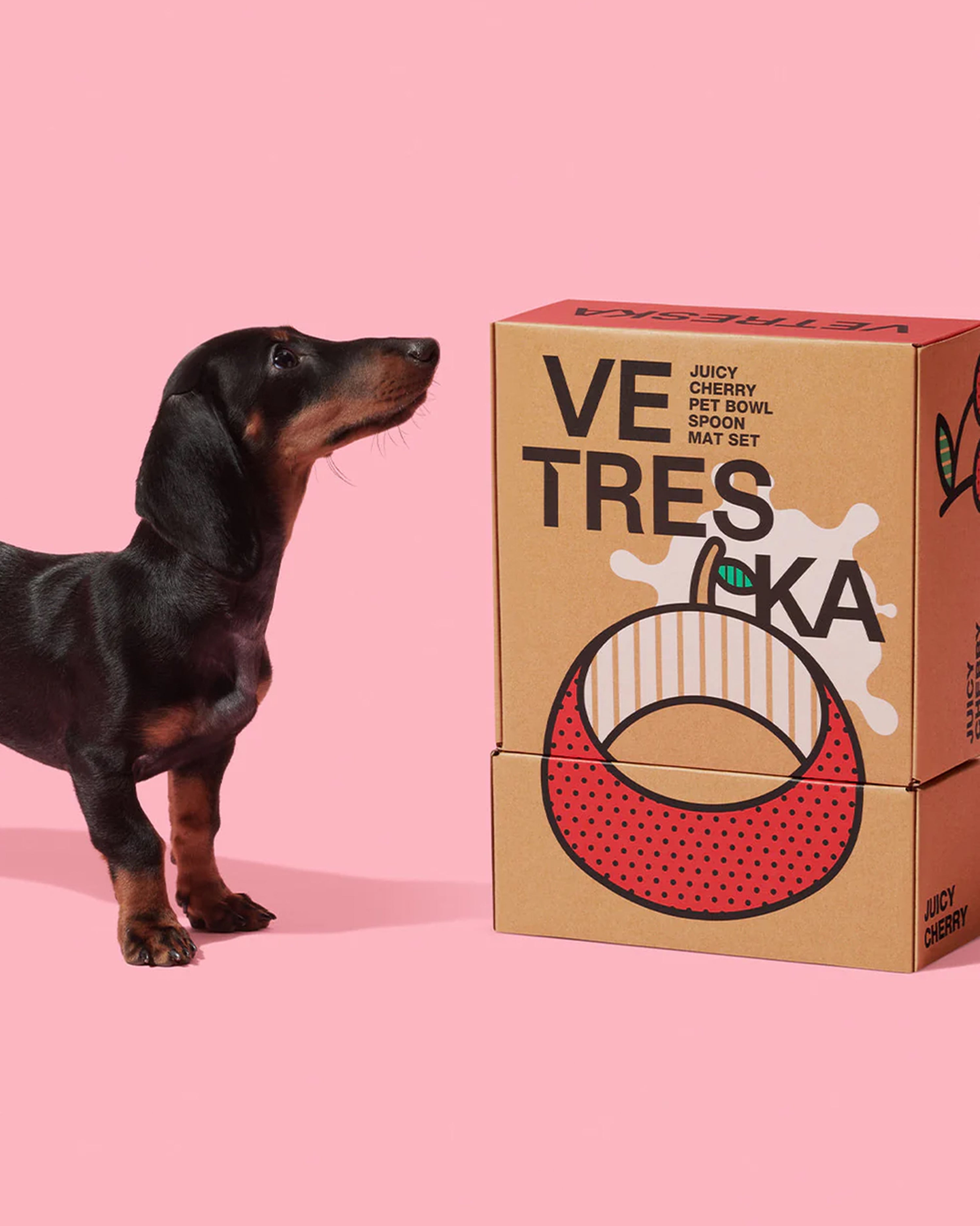 Dog looking at a Vetriska product box on a pink background