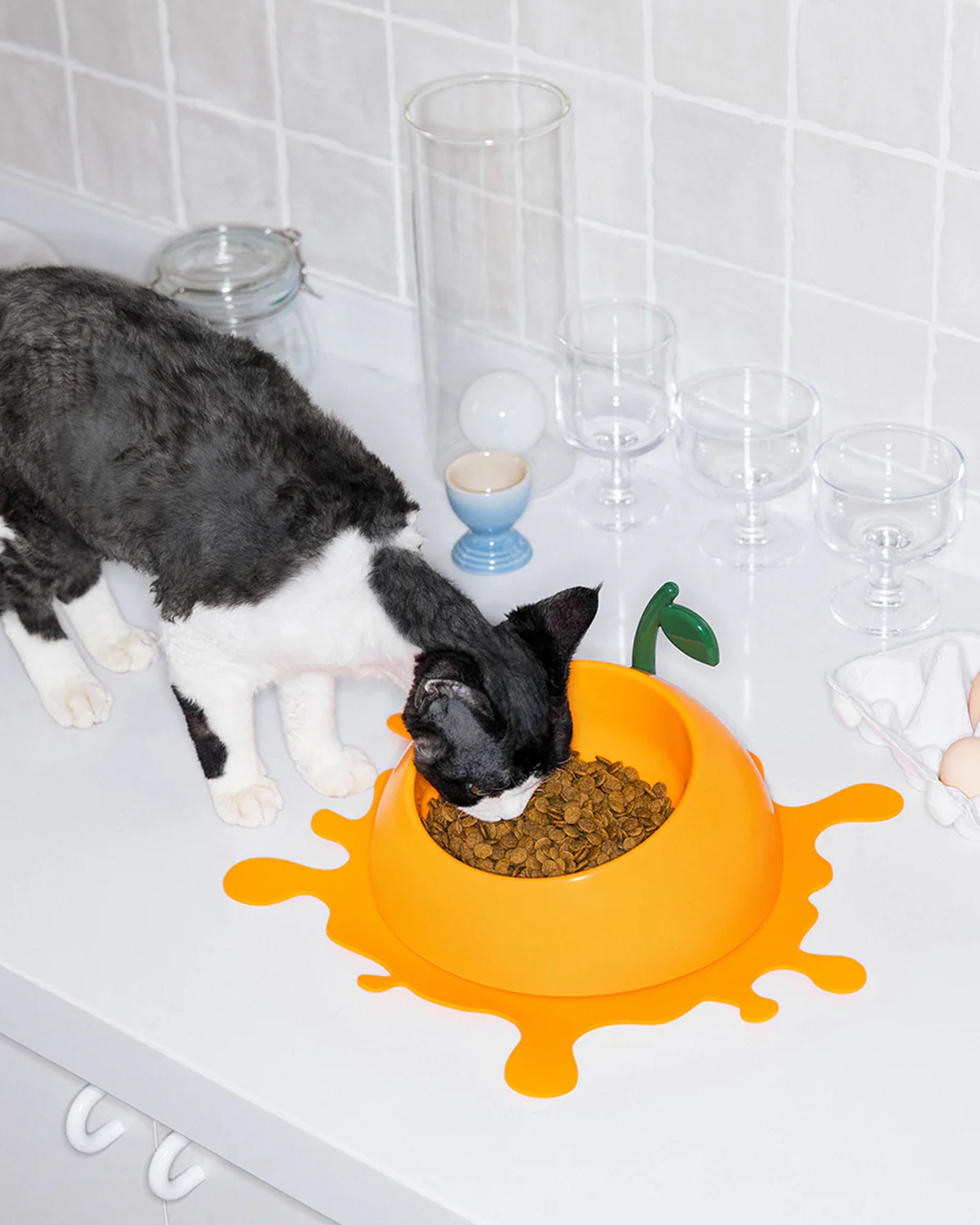 Juicy Tangerine Pet Bowl, Spoon & Mat Set