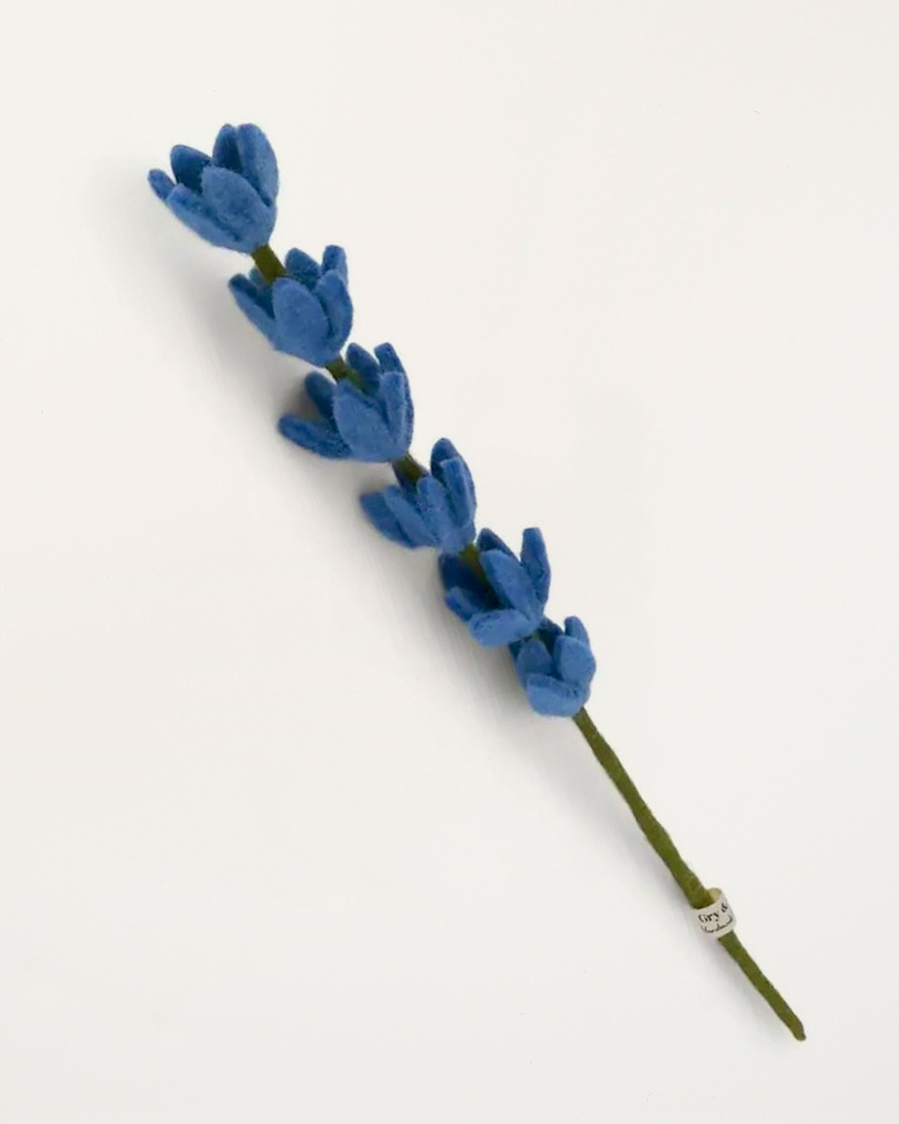 Lupine Bright Blue