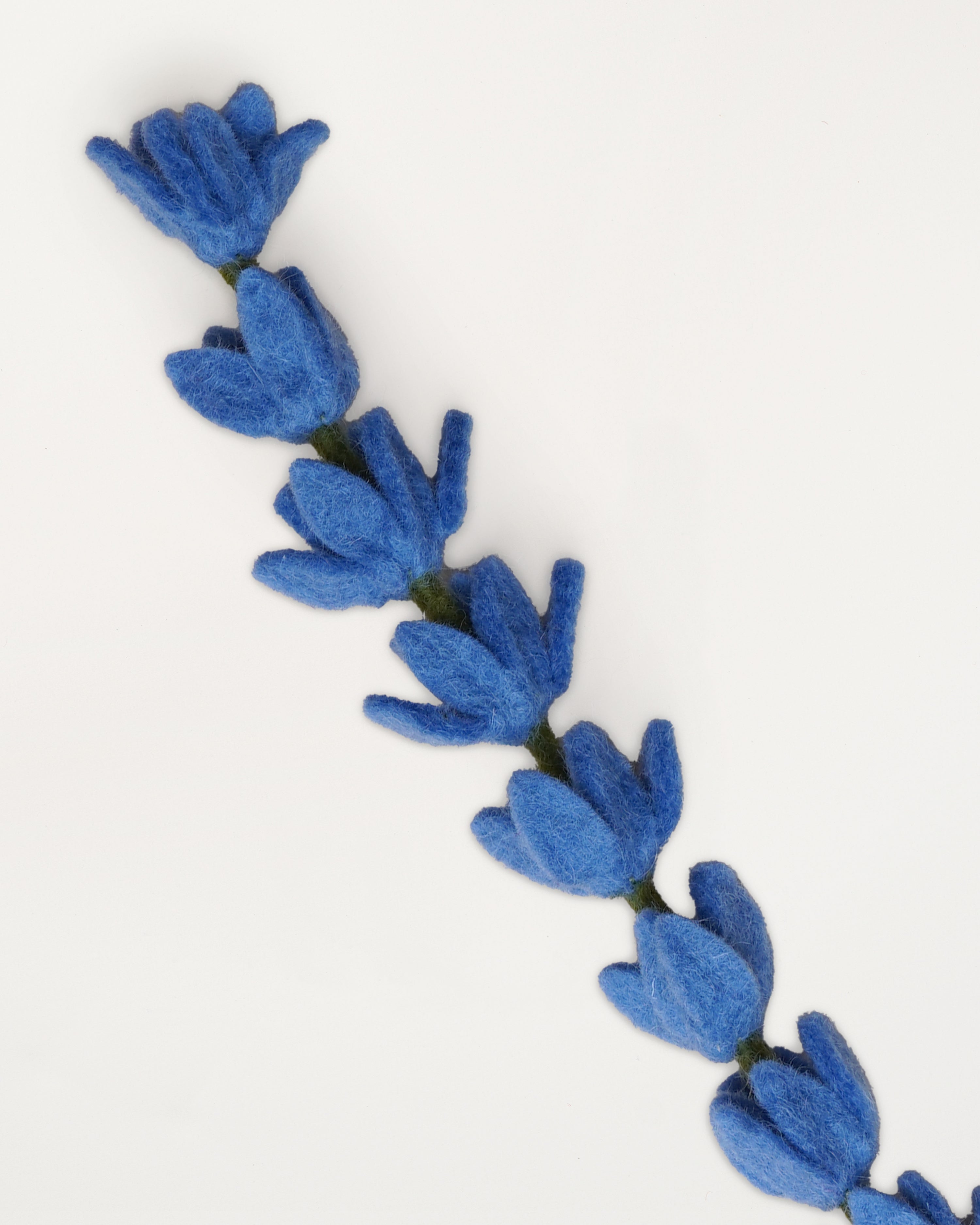 Lupine Bright Blue