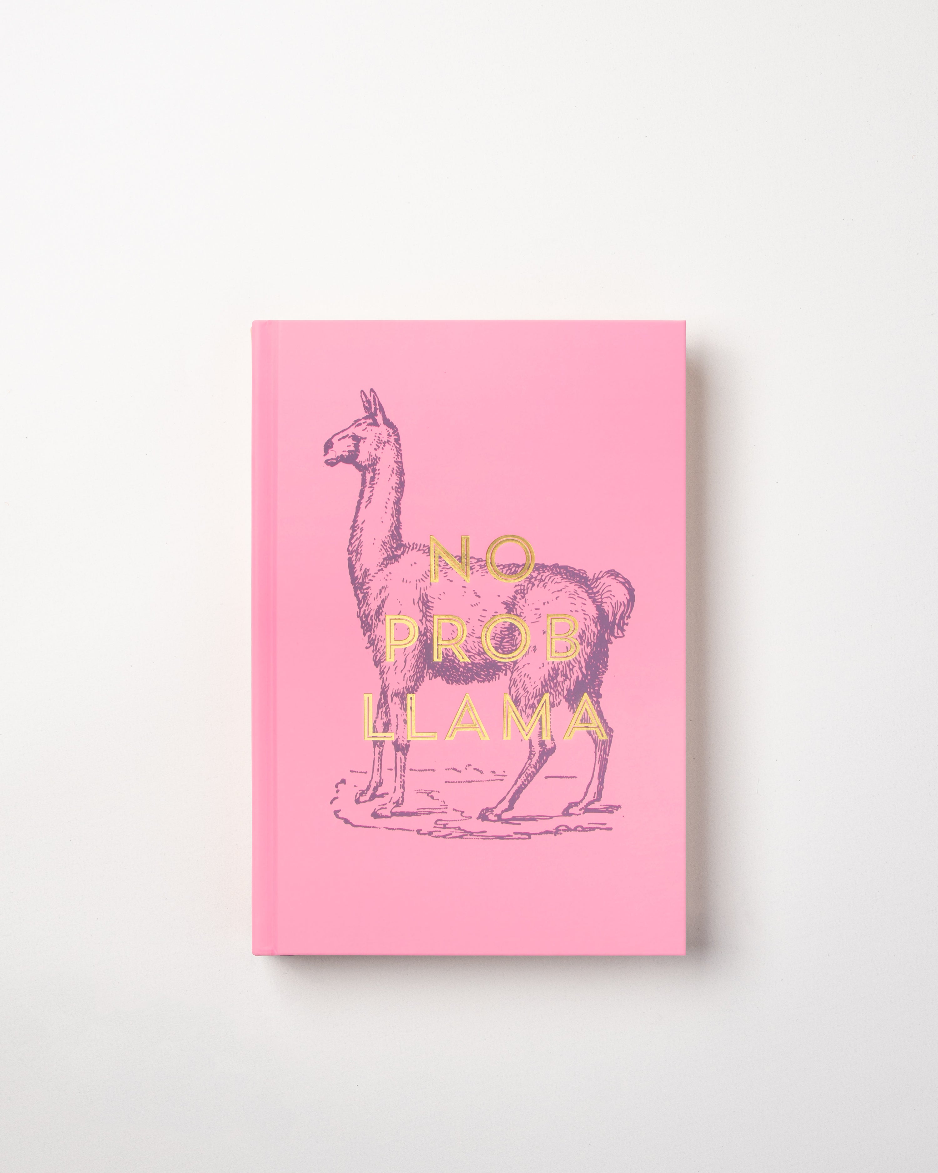No Prob Llama Notebook