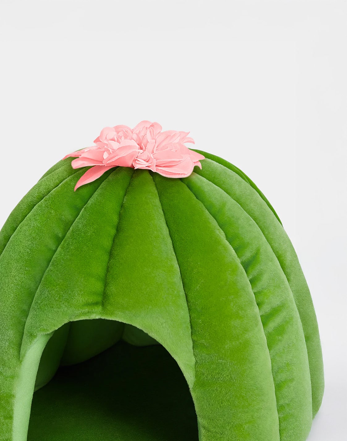 Green cactus-shaped pet bed with a pink flower on a white background