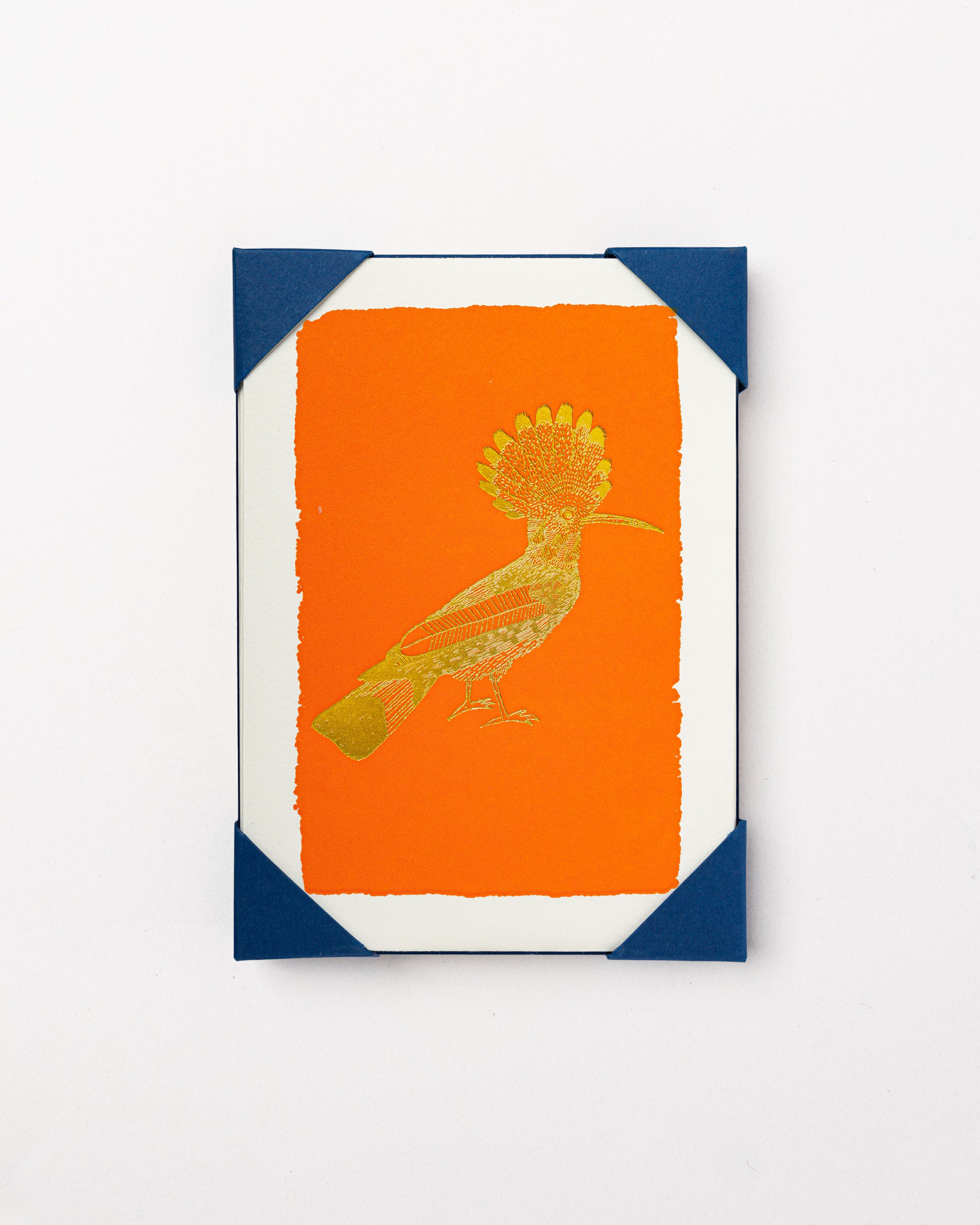 Orange Hoopoe Card Set