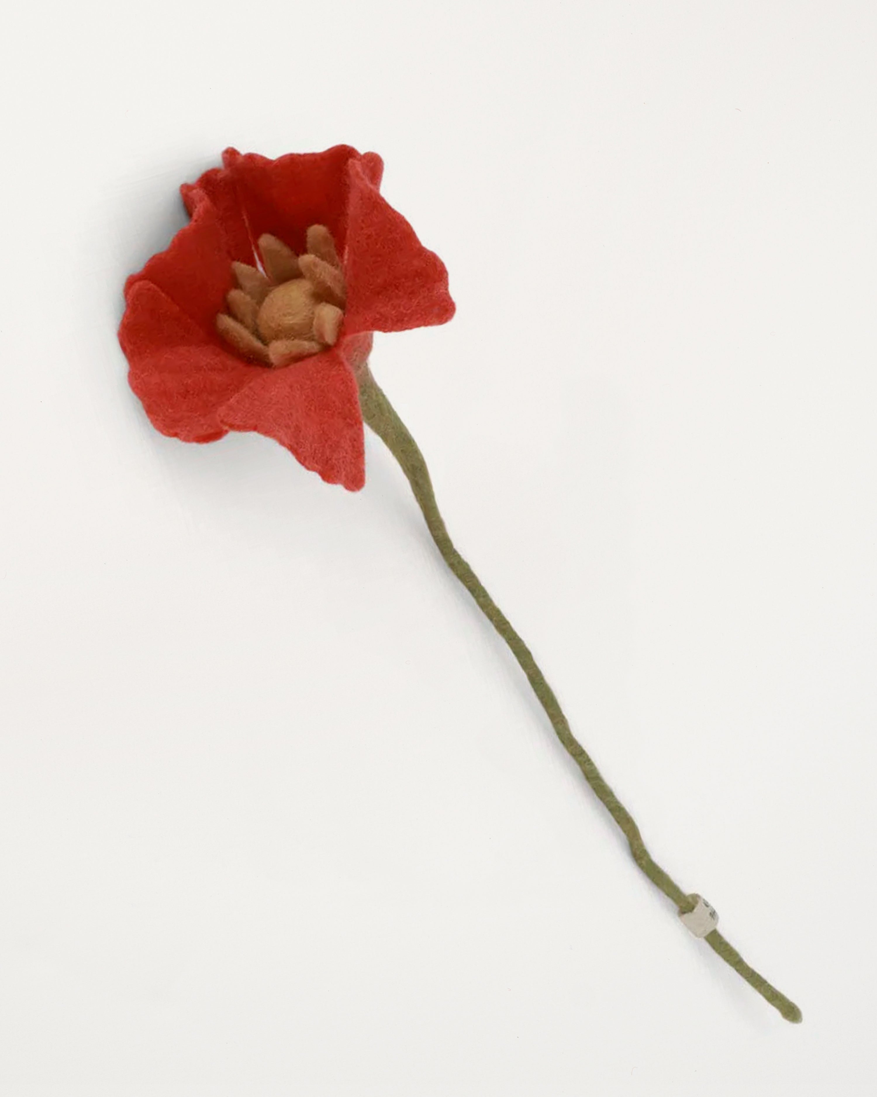 Poppy Flower Coral