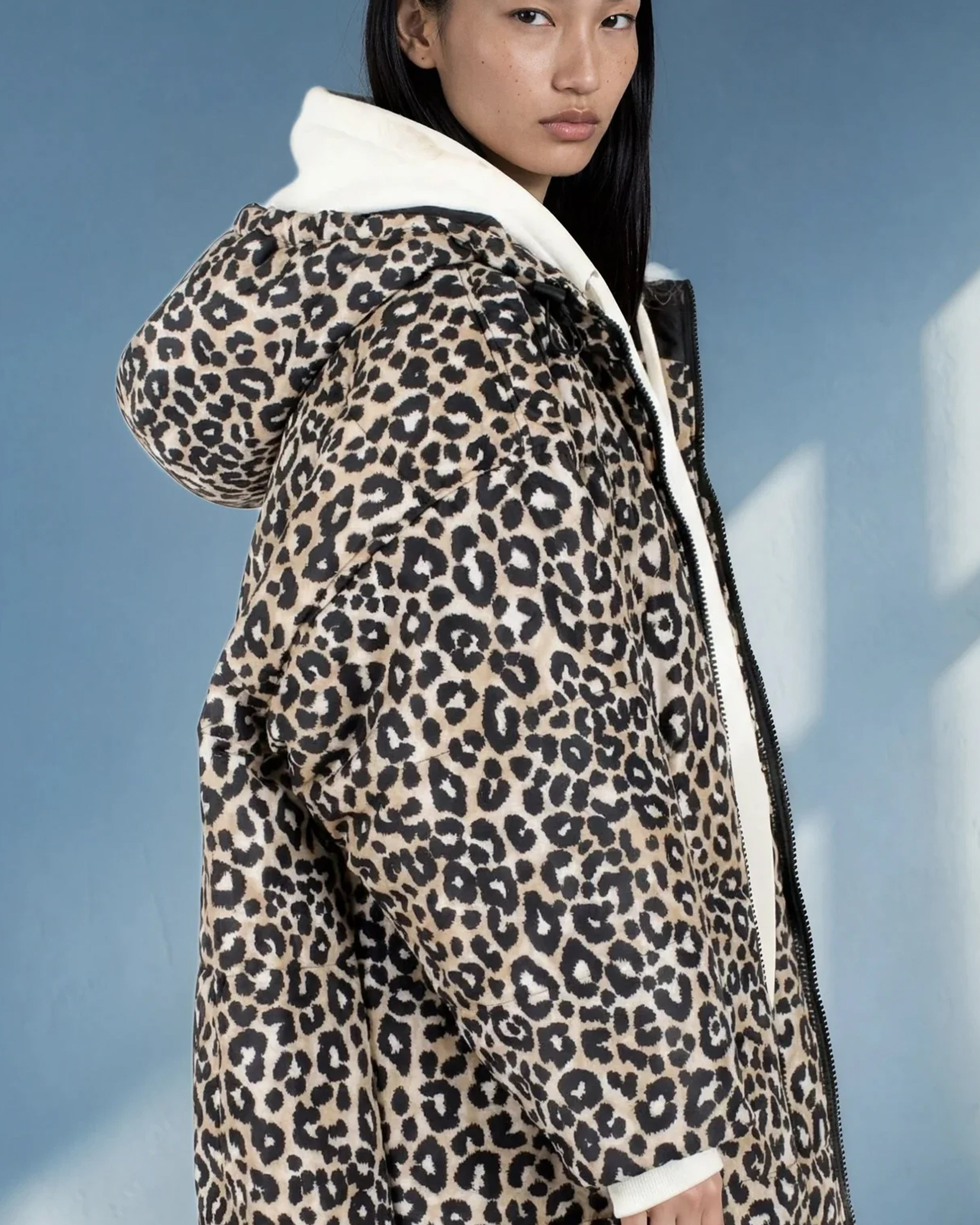 Snow Leopard