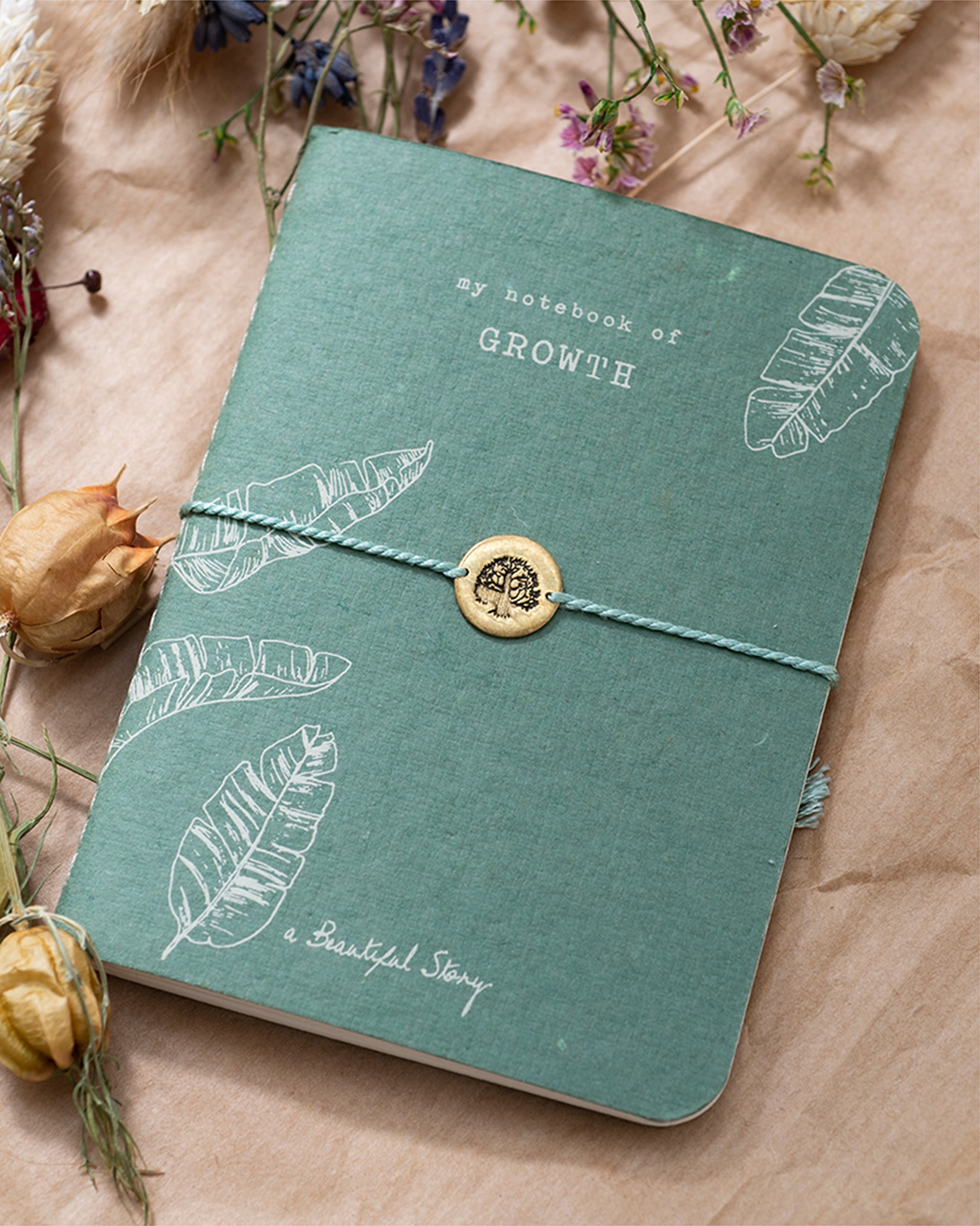 Storybook Growth