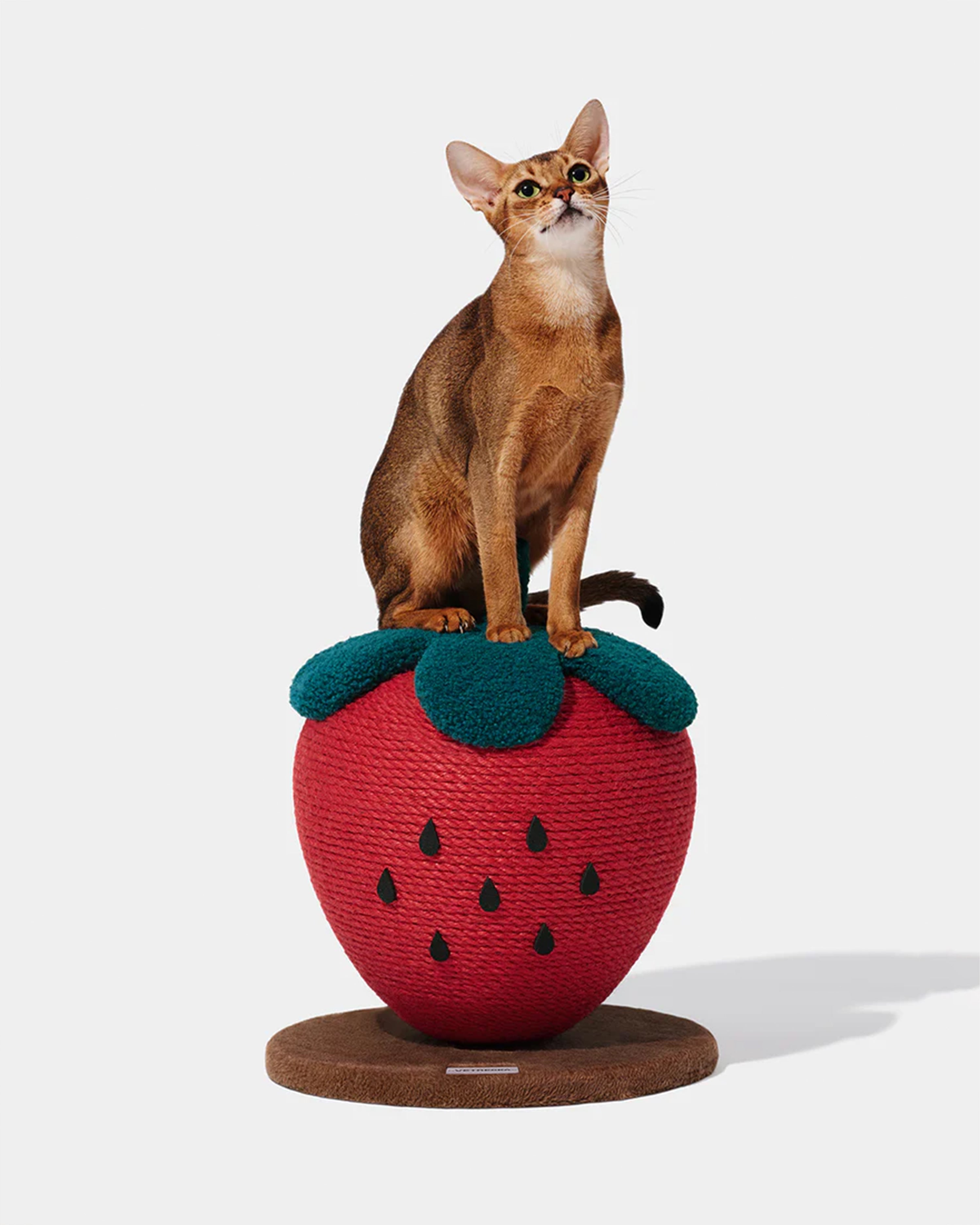 Strawberry Cat Scratching Ball