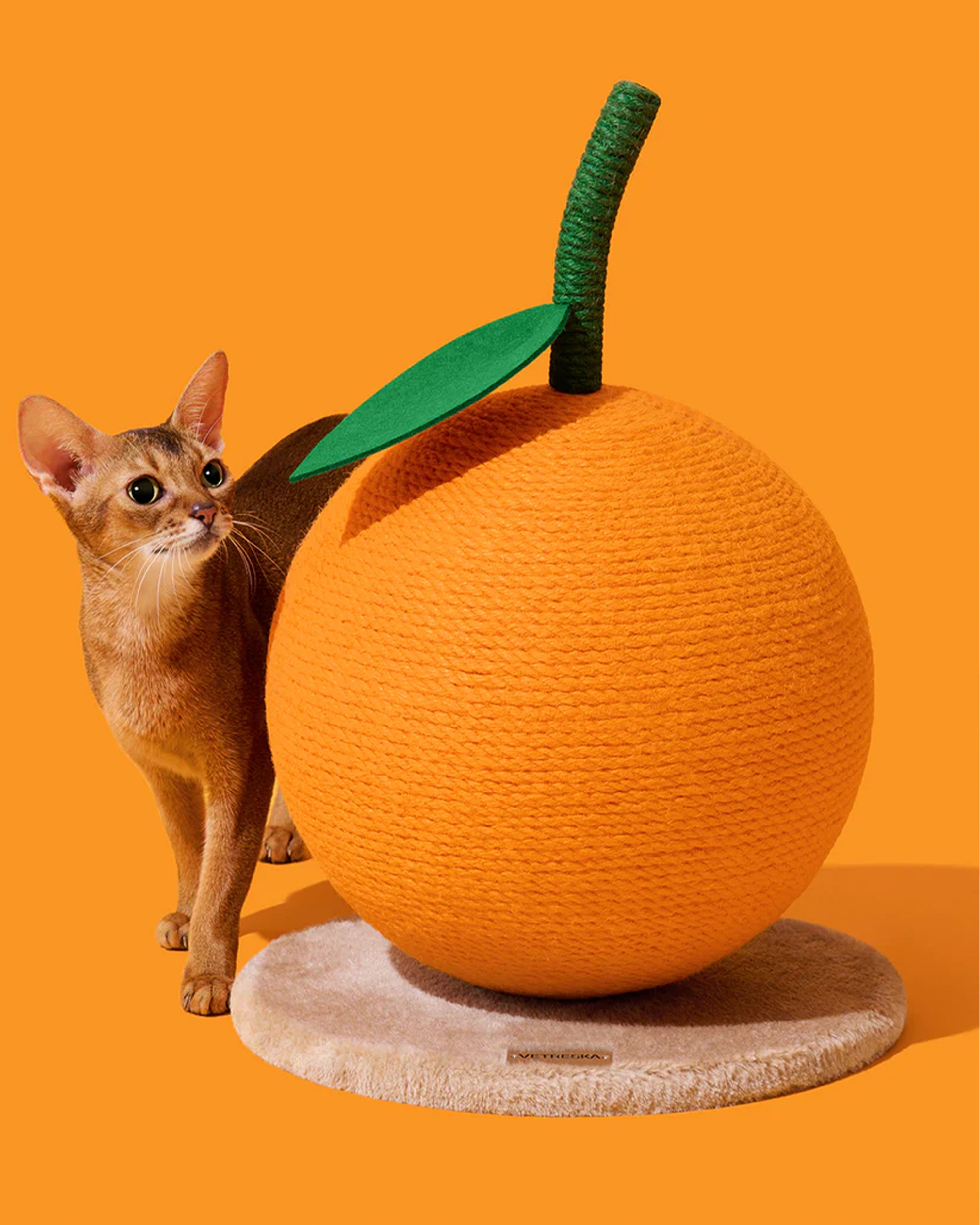 Tangerine Cat Scratching Ball