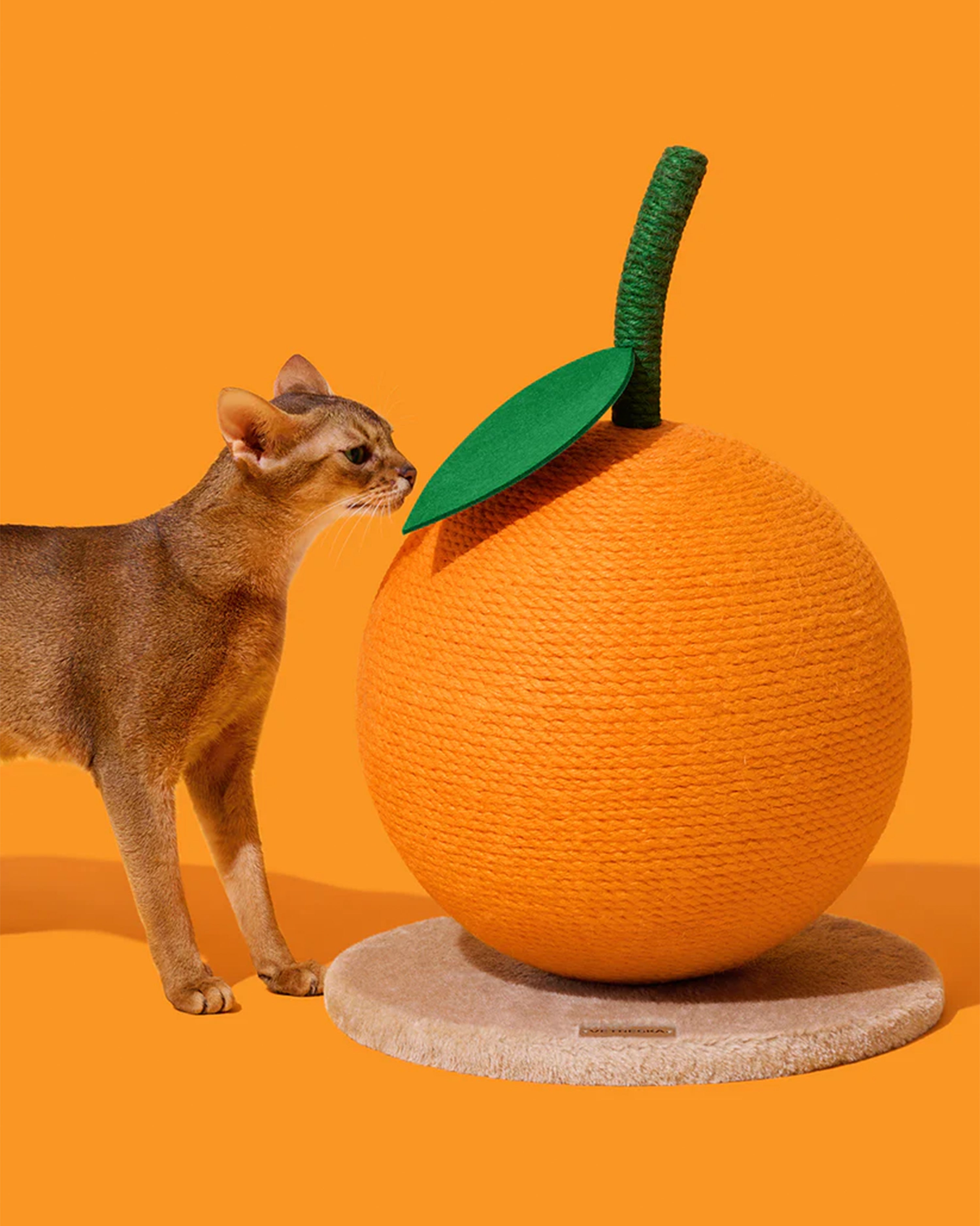 Tangerine Cat Scratching Ball