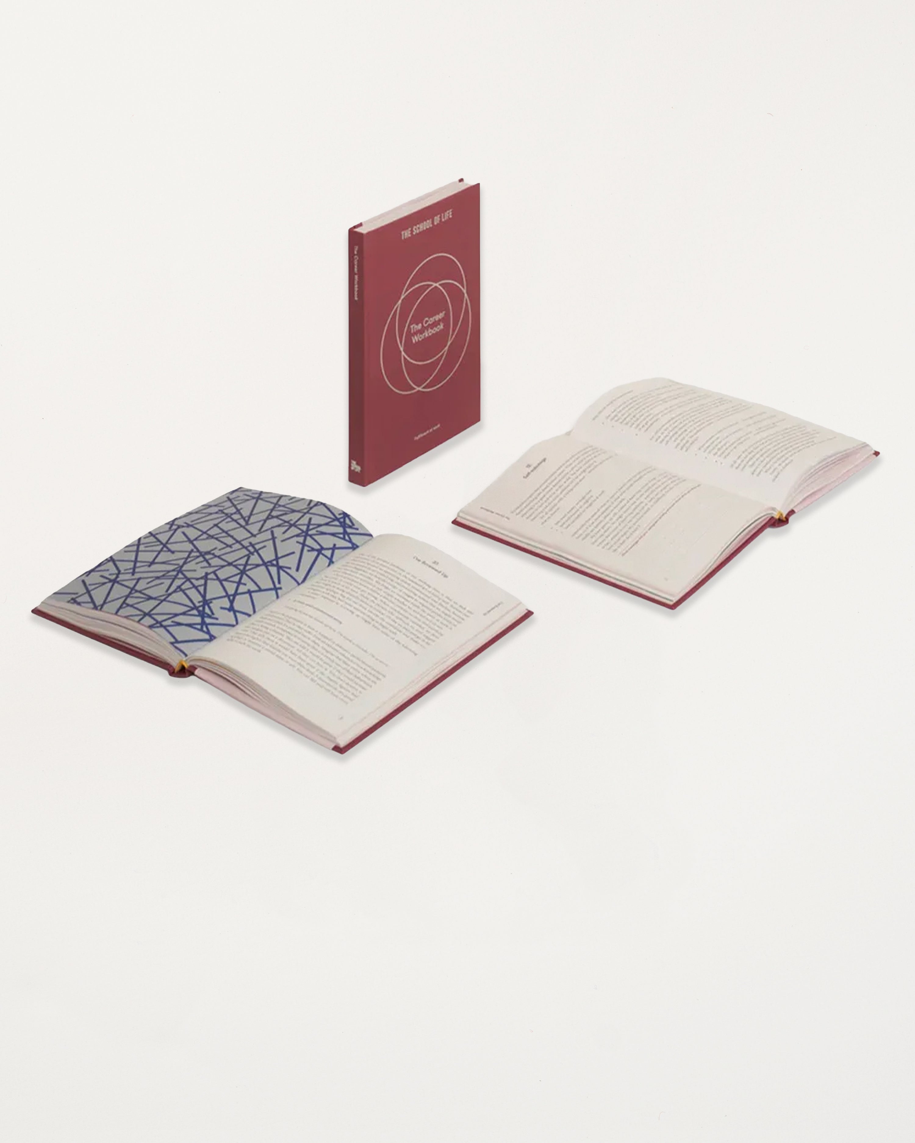 The Career Workbook