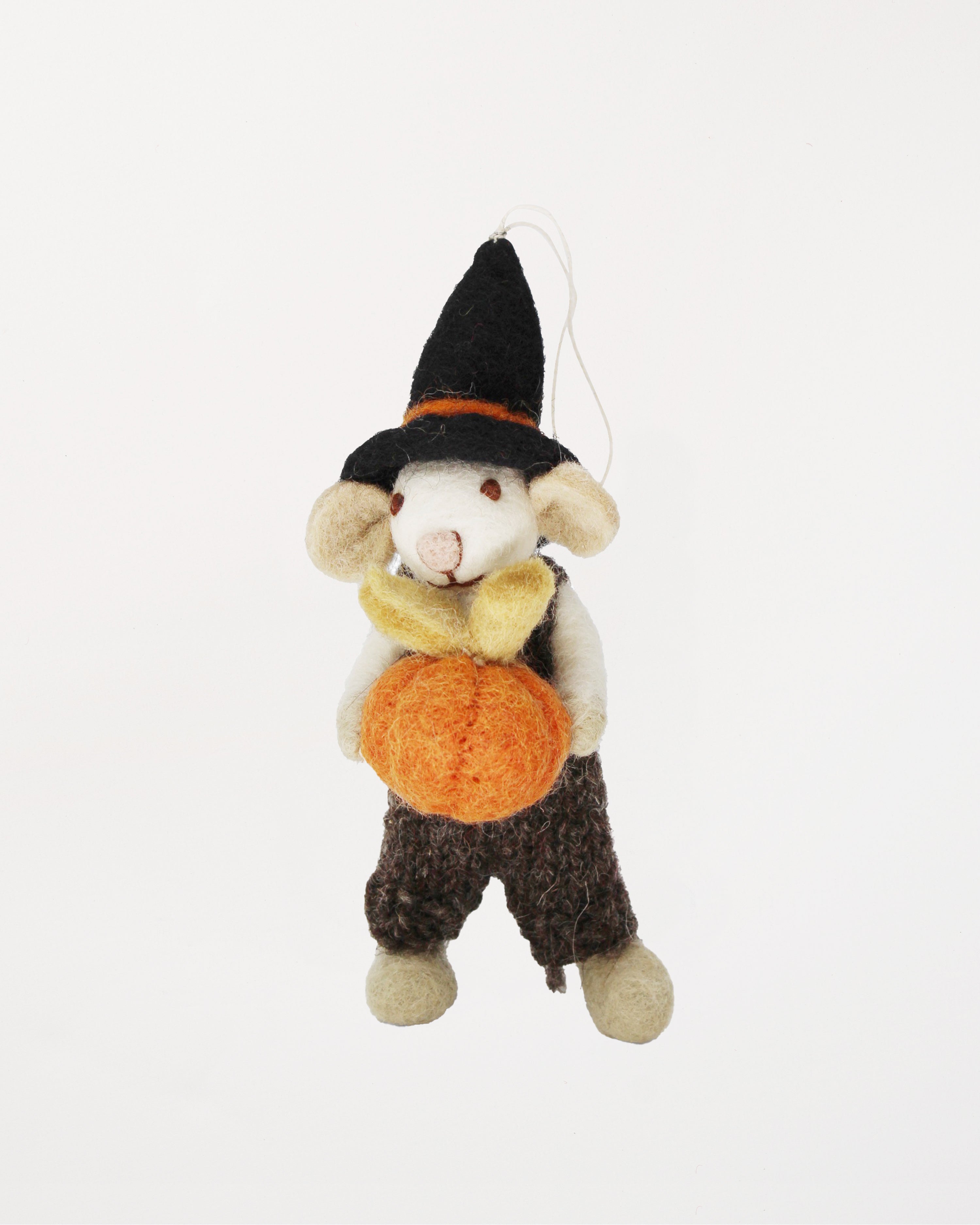 White Boy Mouse with Pumpkin Decoration