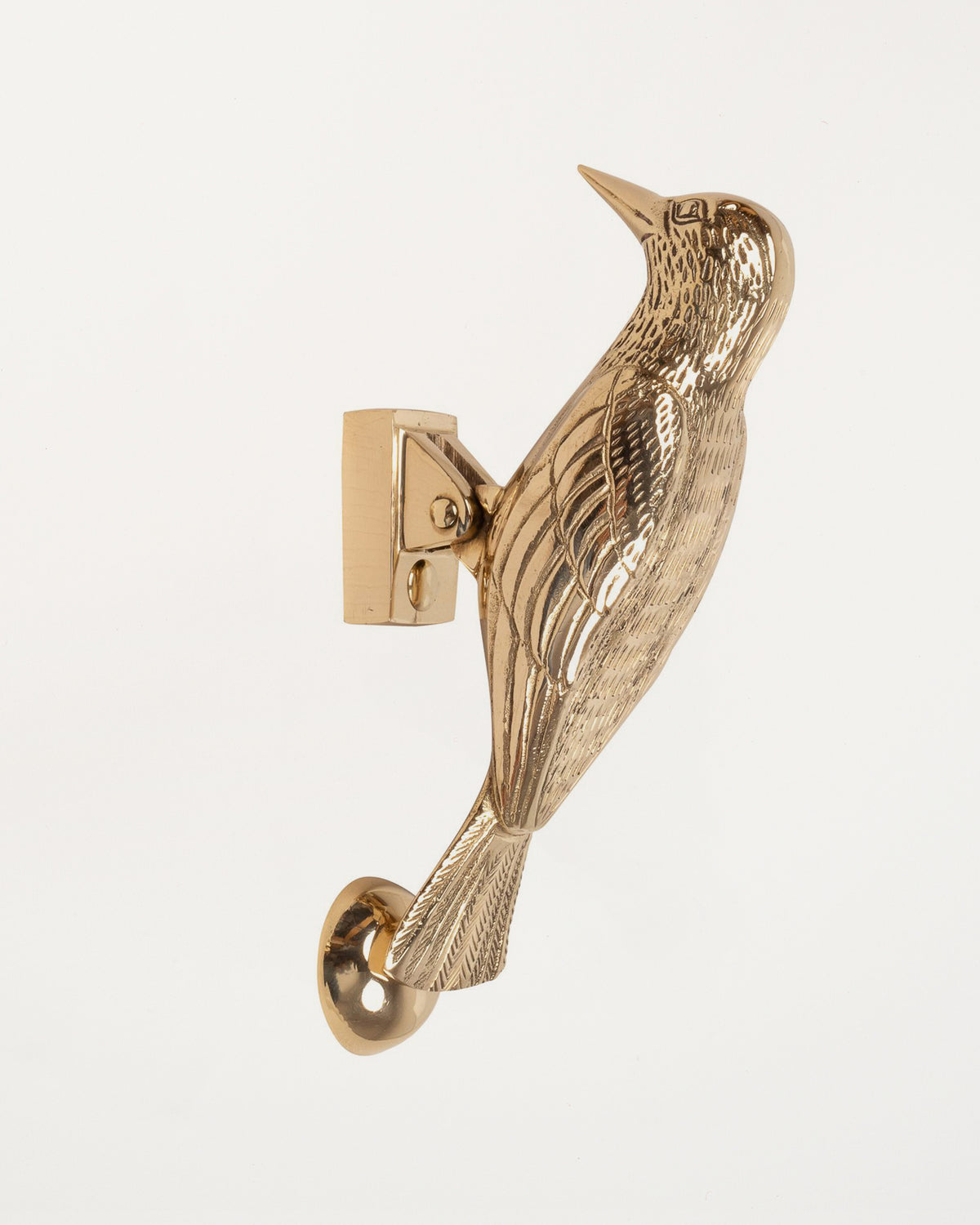 Woodpecker Door Knocker Polished Brass