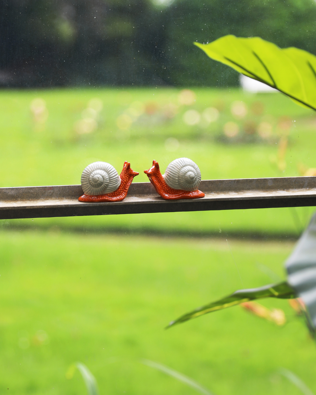 Salt & Pepper Snail