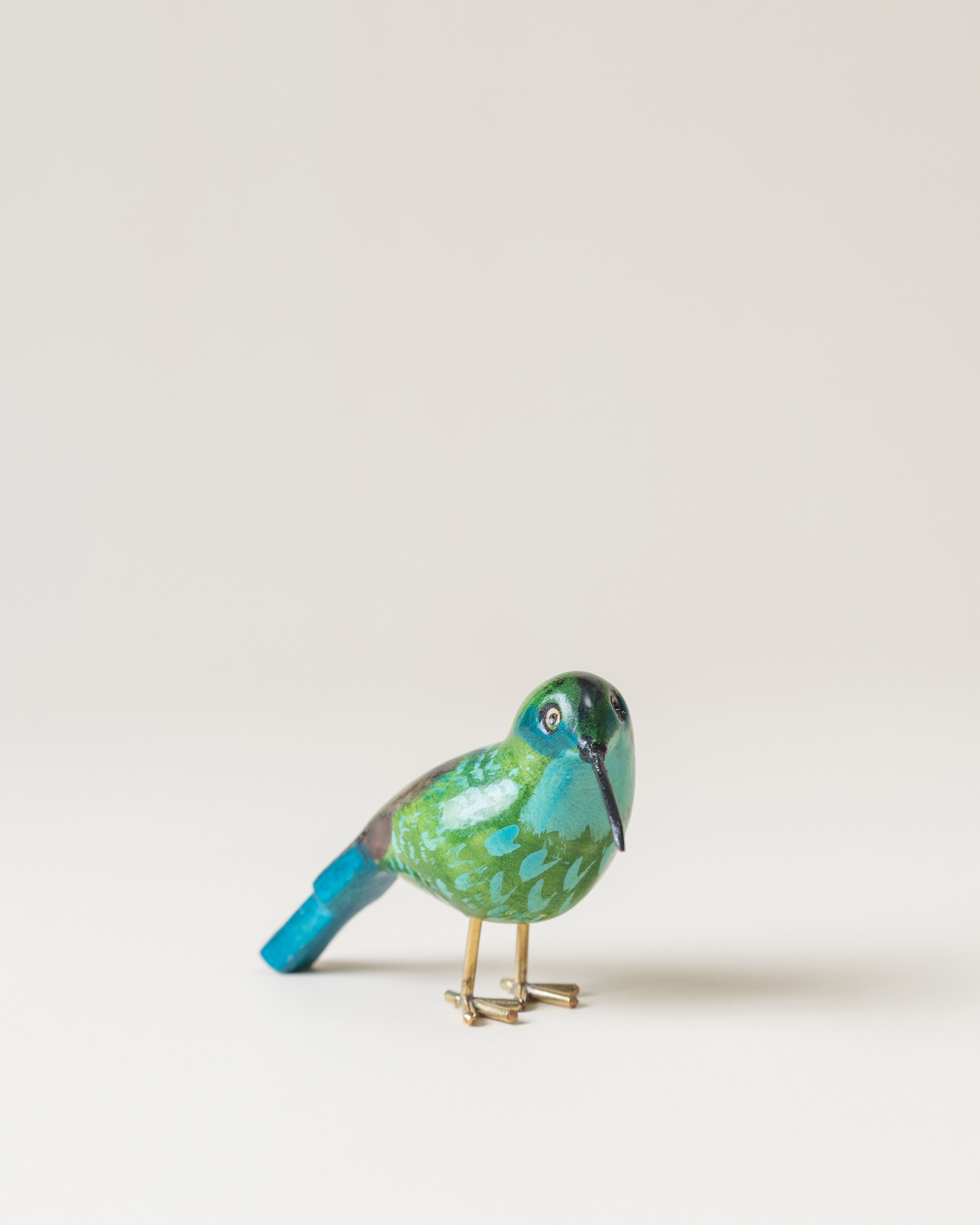 Mexican Violetear
